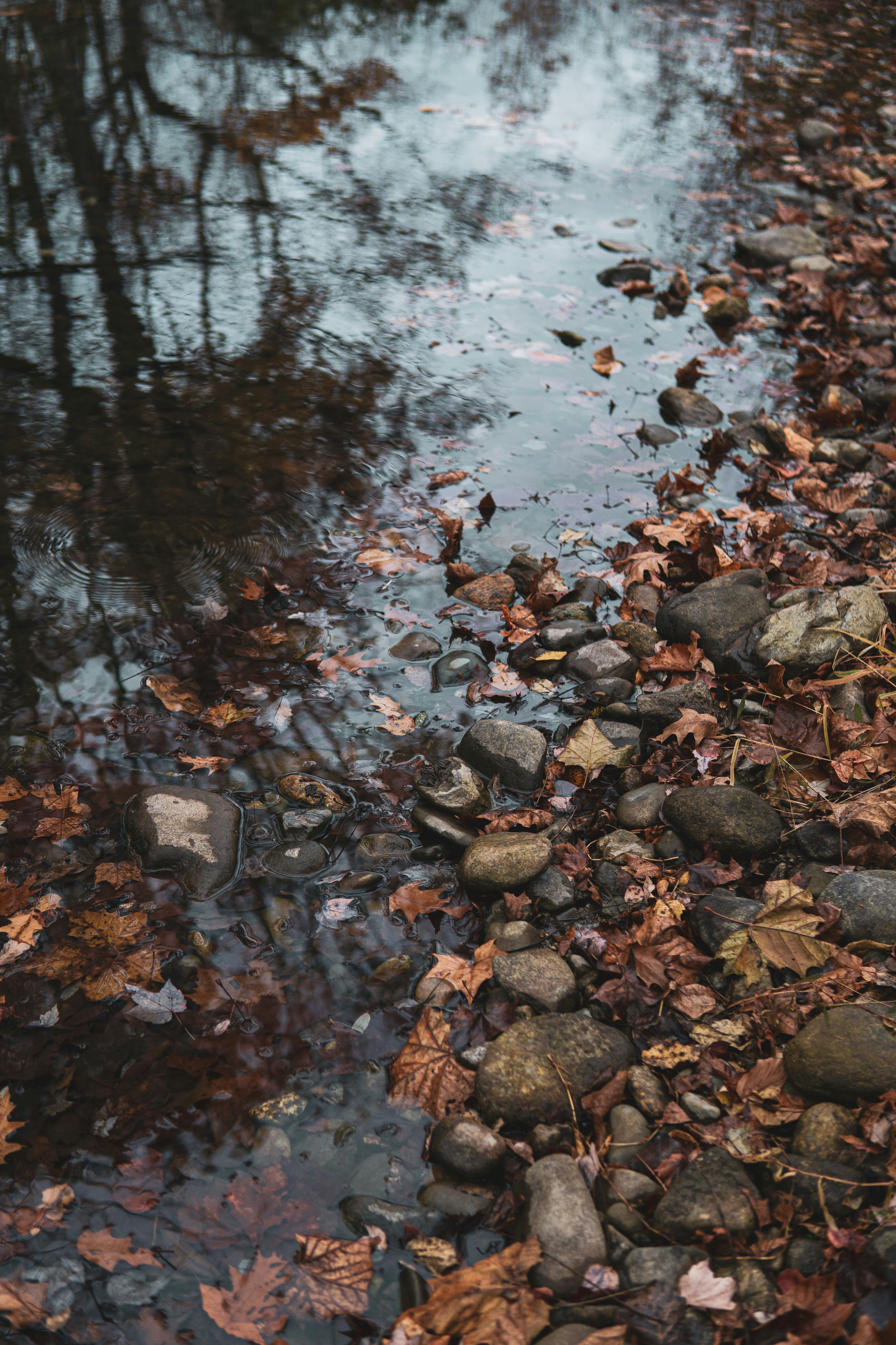 Photo by keepitchassephotography