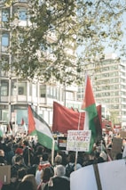 A large group of people gathered in an urban setting, holding flags and signs. The protest appears to address political or social issues, with prominent signs and flags indicating a message against genocide and calls for action. Light filters through the trees as the buildings stand tall in the background.