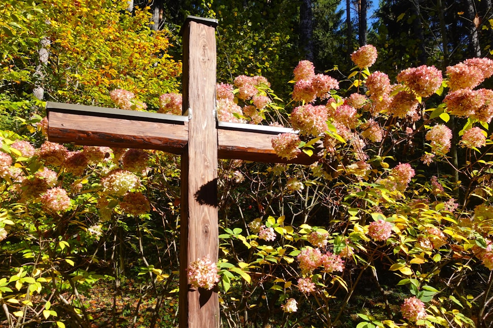 a wooden cross sitting in the middle of a forest