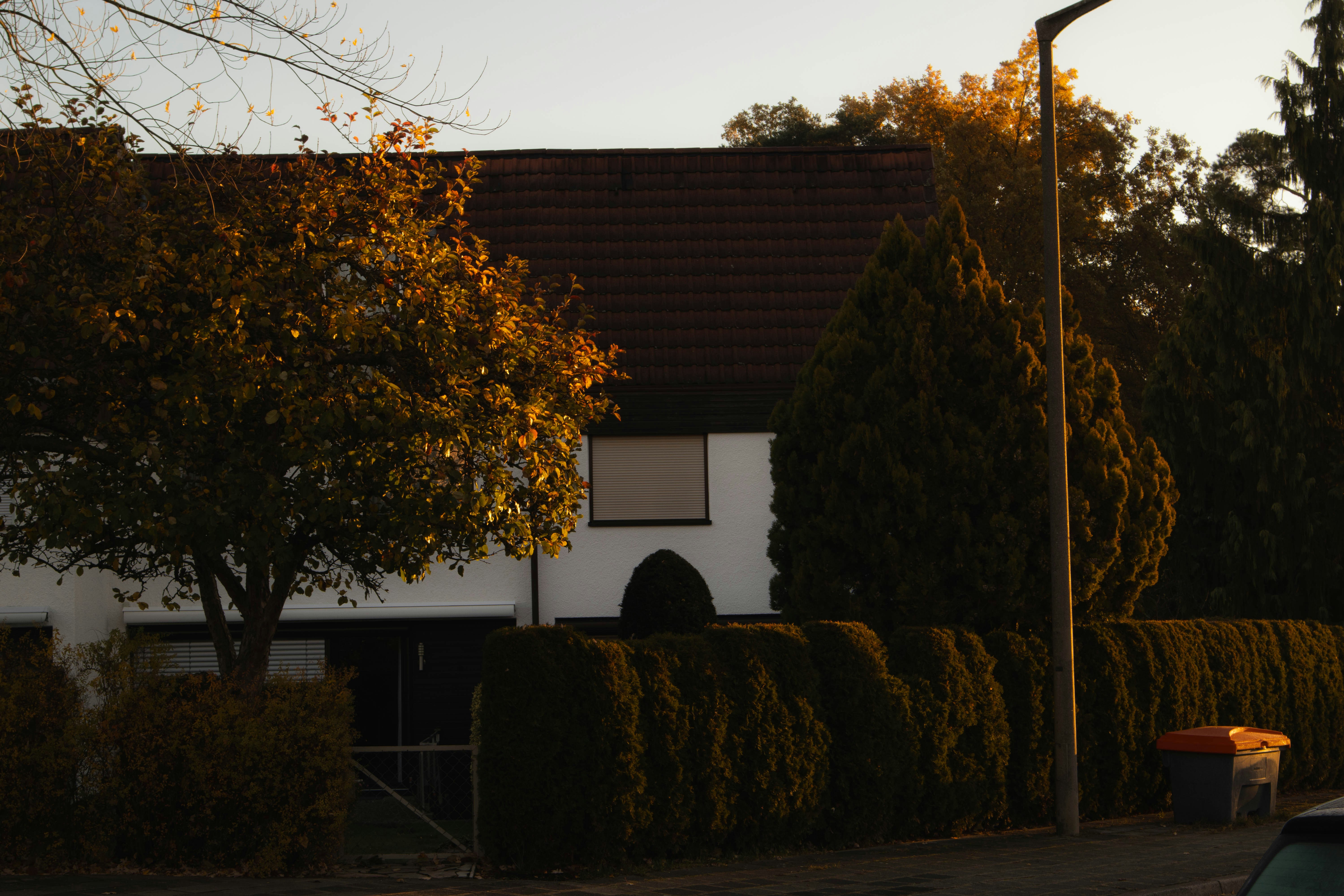 Photo by marko_lengyel