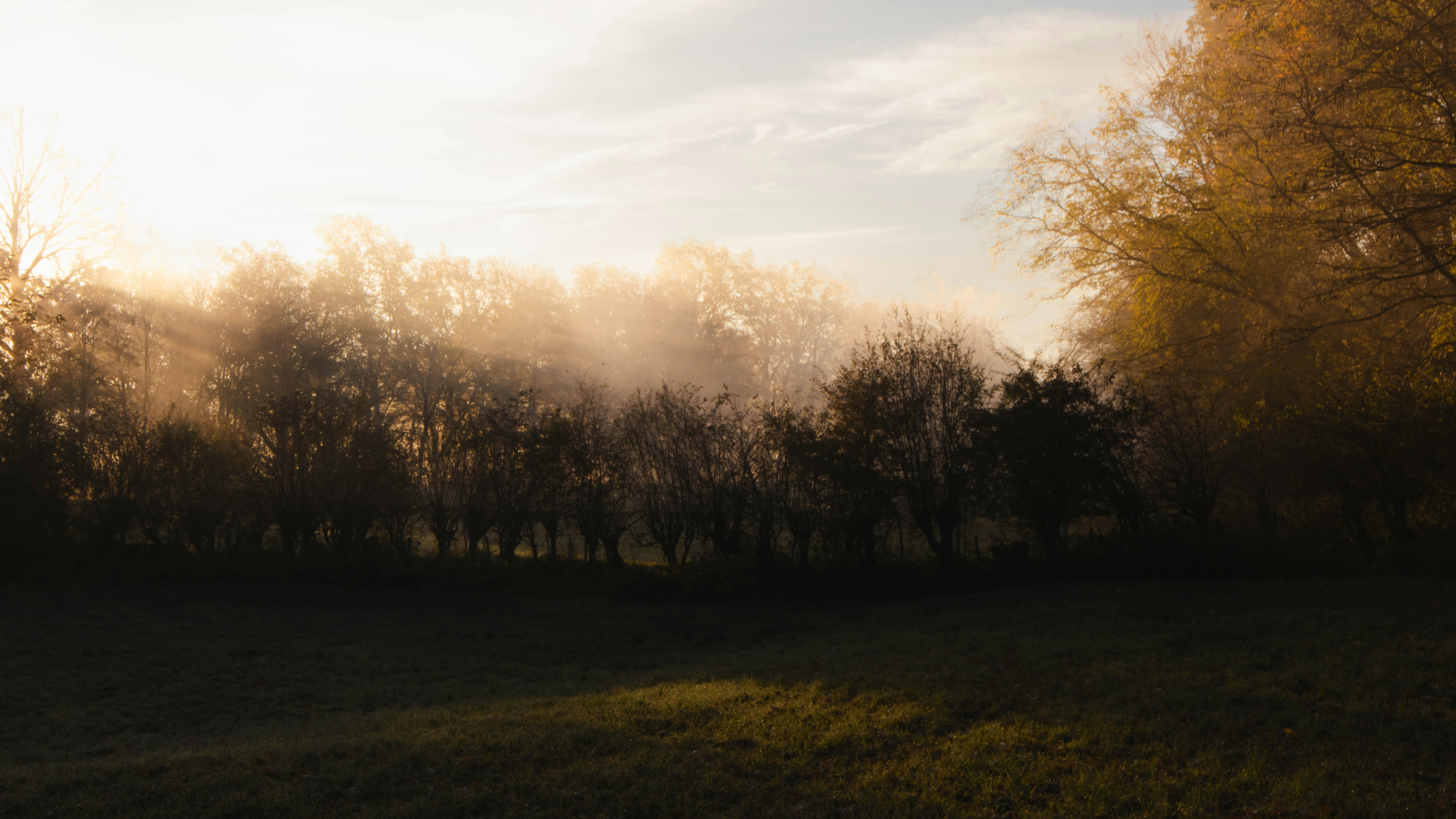 Tipping Points: When Climate Change Becomes Unstoppable