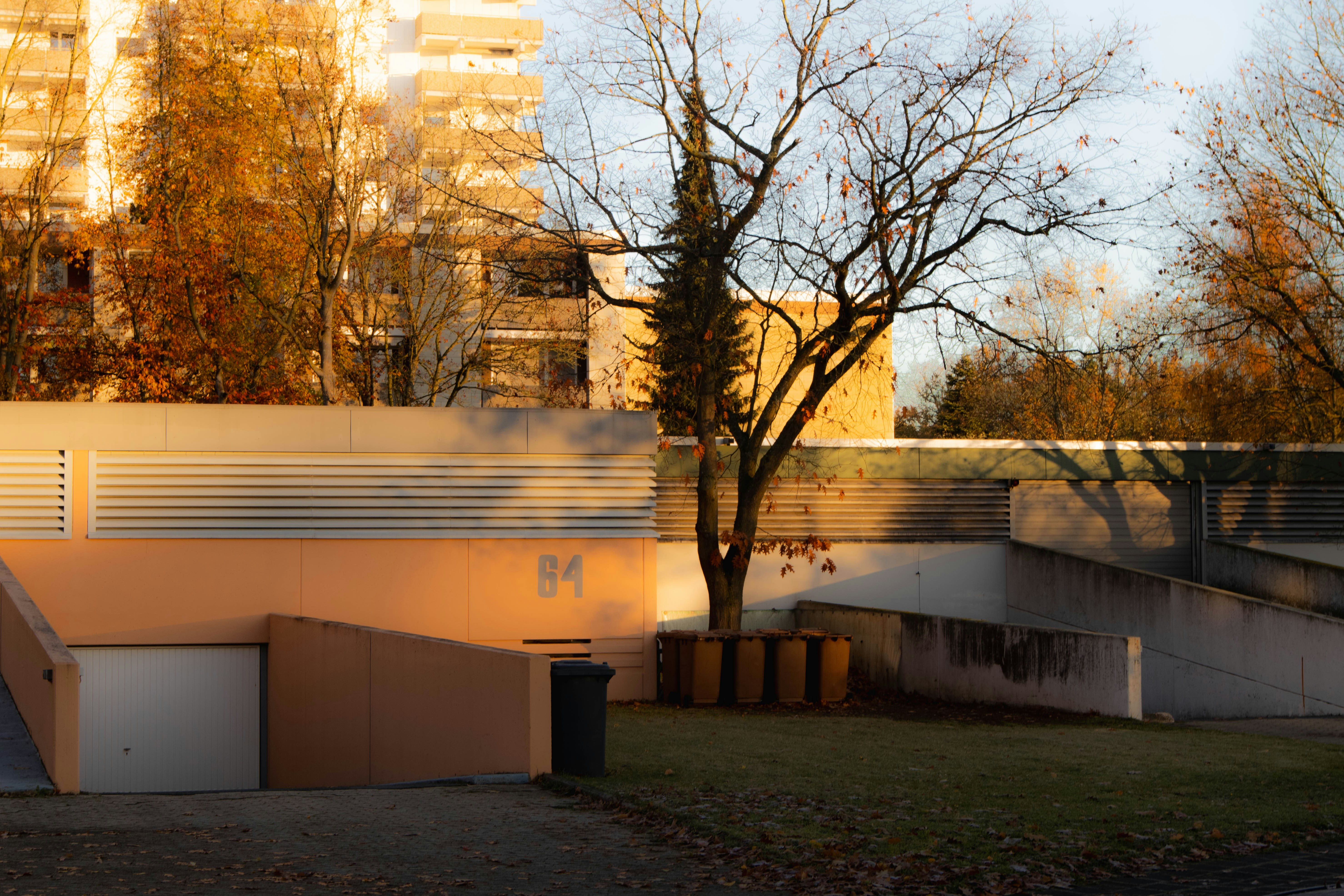 Photo by marko_lengyel