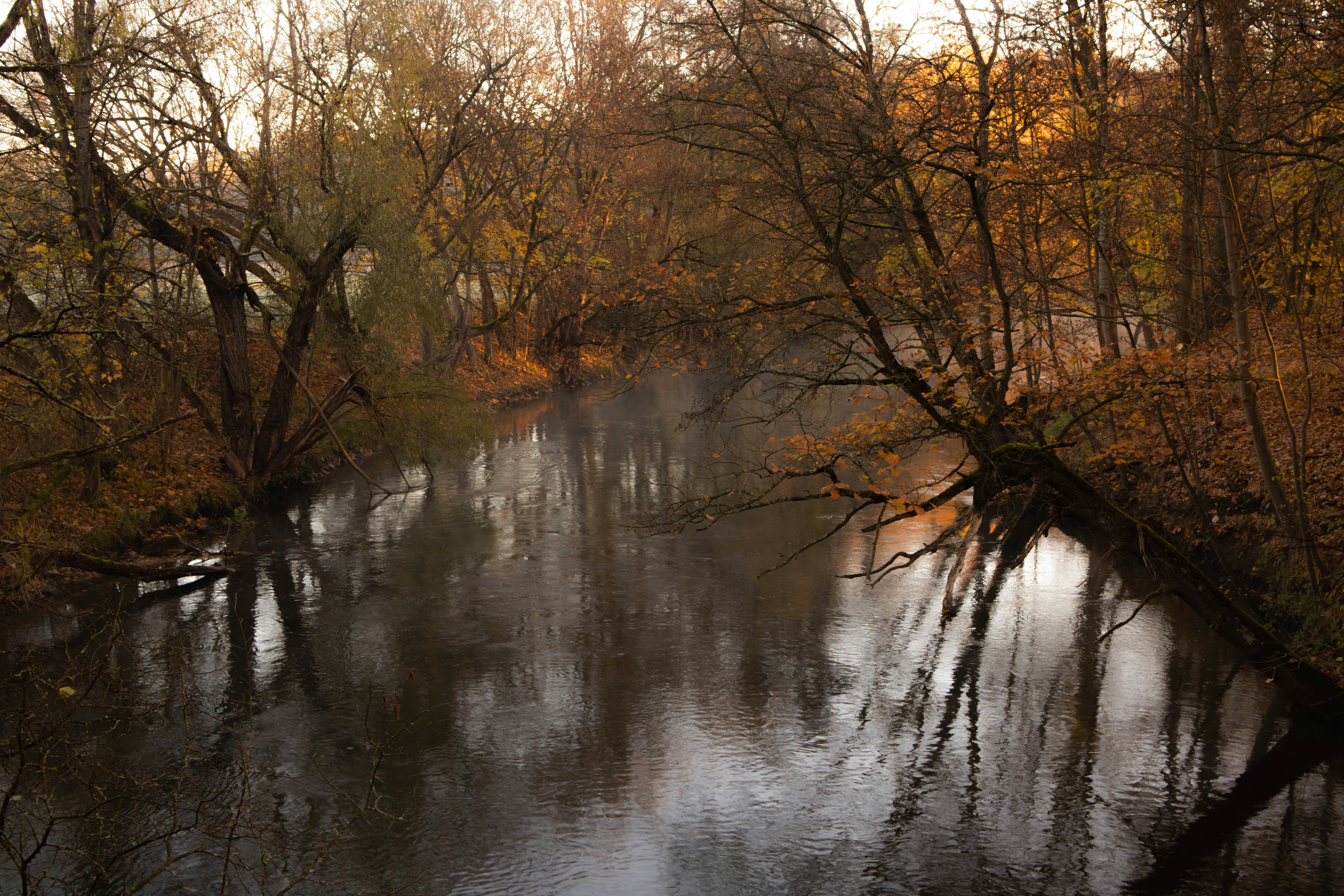 Photo by marko_lengyel