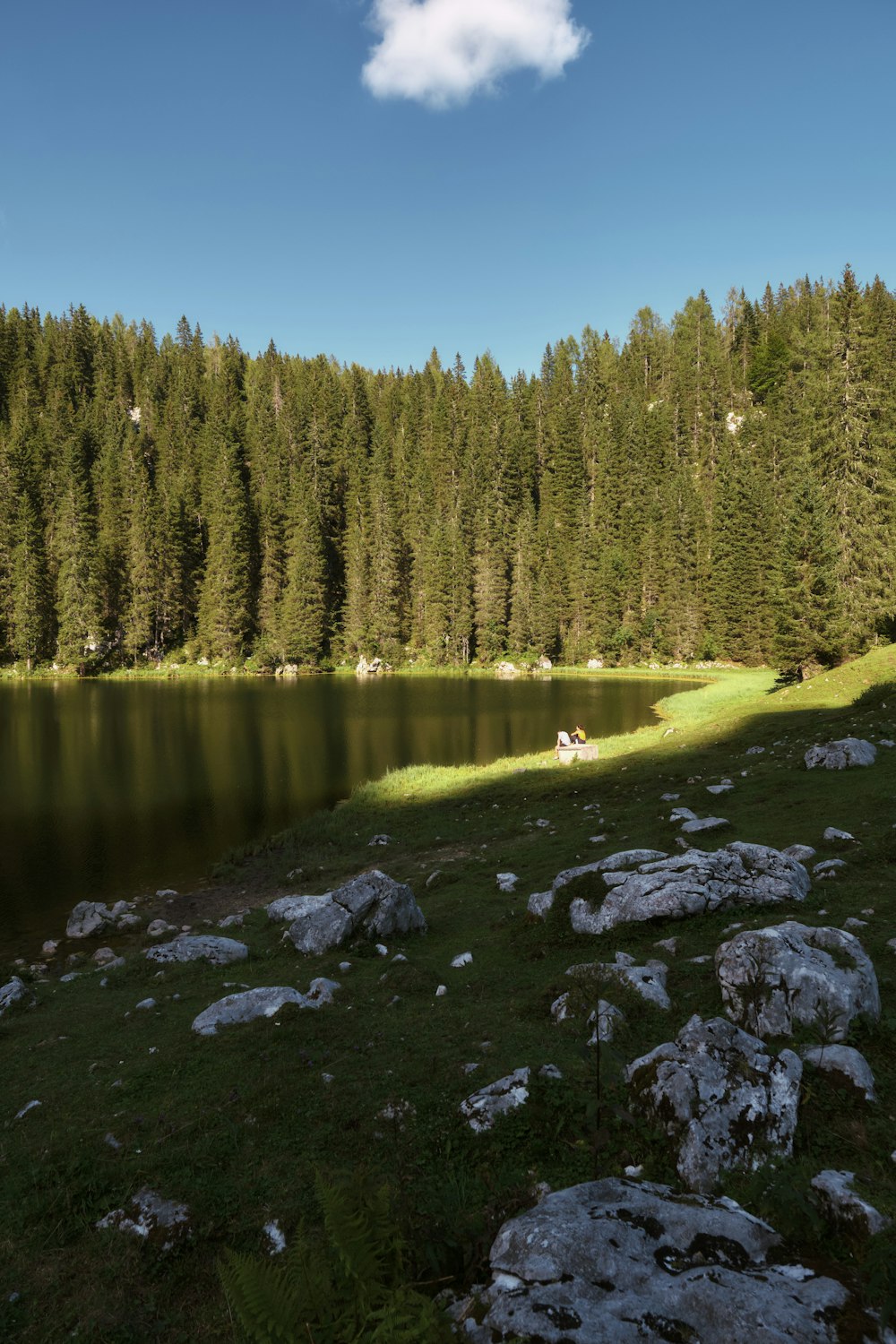 a grassy field next to a lake surrounded by trees
