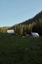 Wooden cabins with metal roofs are nestled in a lush green meadow surrounded by dense forest. A gentle slope leads up to the structures, and the scene is set against a clear blue sky. The sunlight softly illuminates parts of the forest and cabins, creating a tranquil atmosphere.