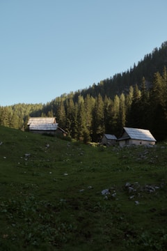 Wooden cabins with metal roofs are nestled in a lush green meadow surrounded by dense forest. A gentle slope leads up to the structures, and the scene is set against a clear blue sky. The sunlight softly illuminates parts of the forest and cabins, creating a tranquil atmosphere.