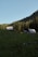Wooden cabins with metal roofs are nestled in a lush green meadow surrounded by dense forest. A gentle slope leads up to the structures, and the scene is set against a clear blue sky. The sunlight softly illuminates parts of the forest and cabins, creating a tranquil atmosphere.