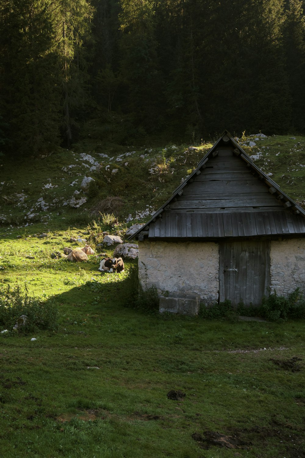 a small building in a grassy field with trees in the background