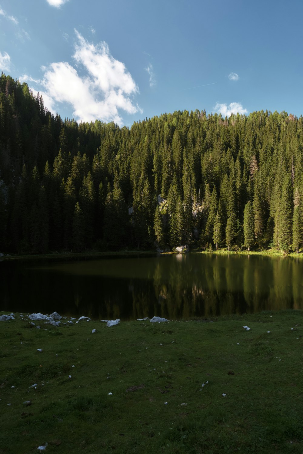 a large body of water surrounded by a forest