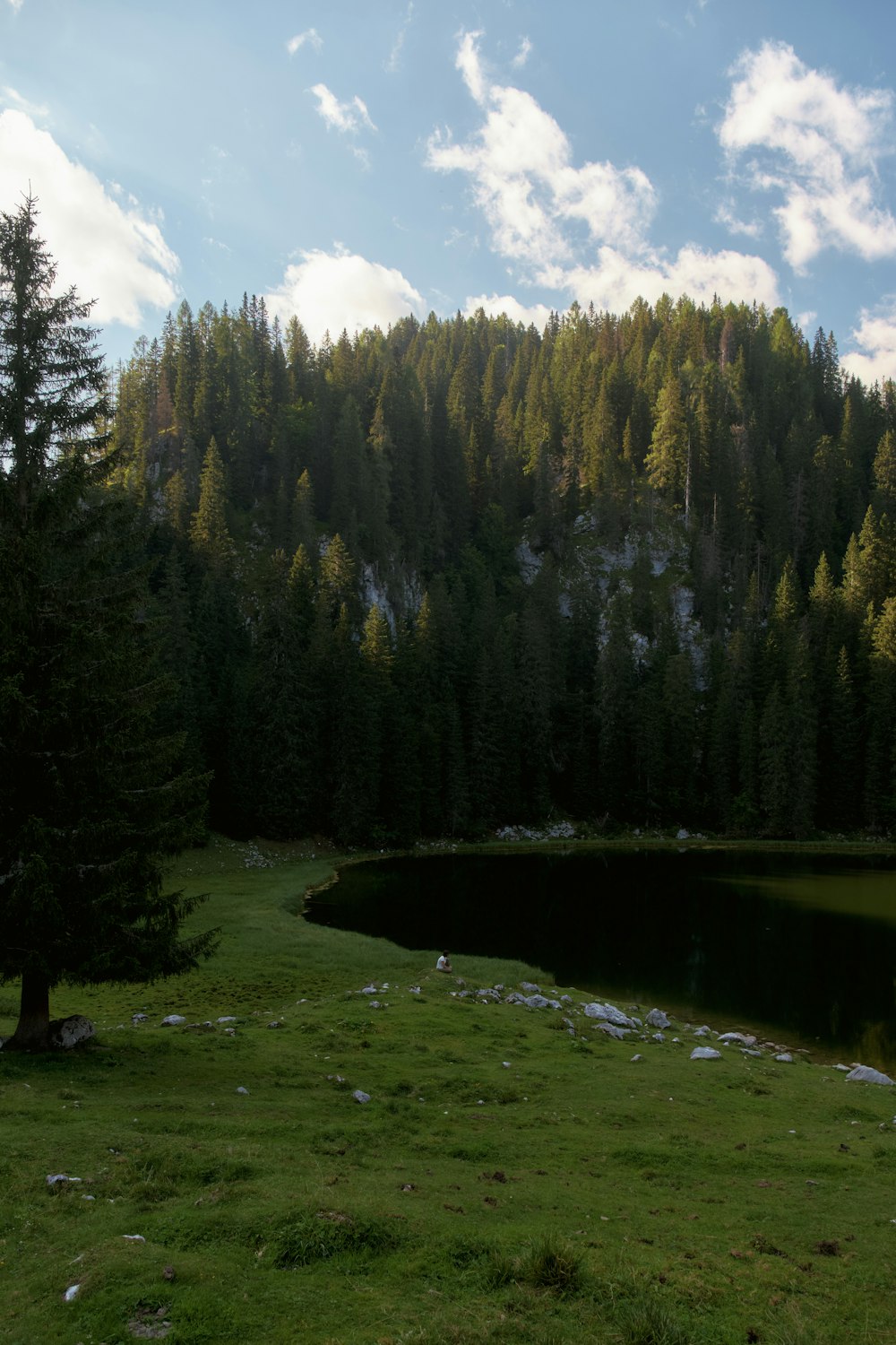 a grassy field next to a lake surrounded by trees