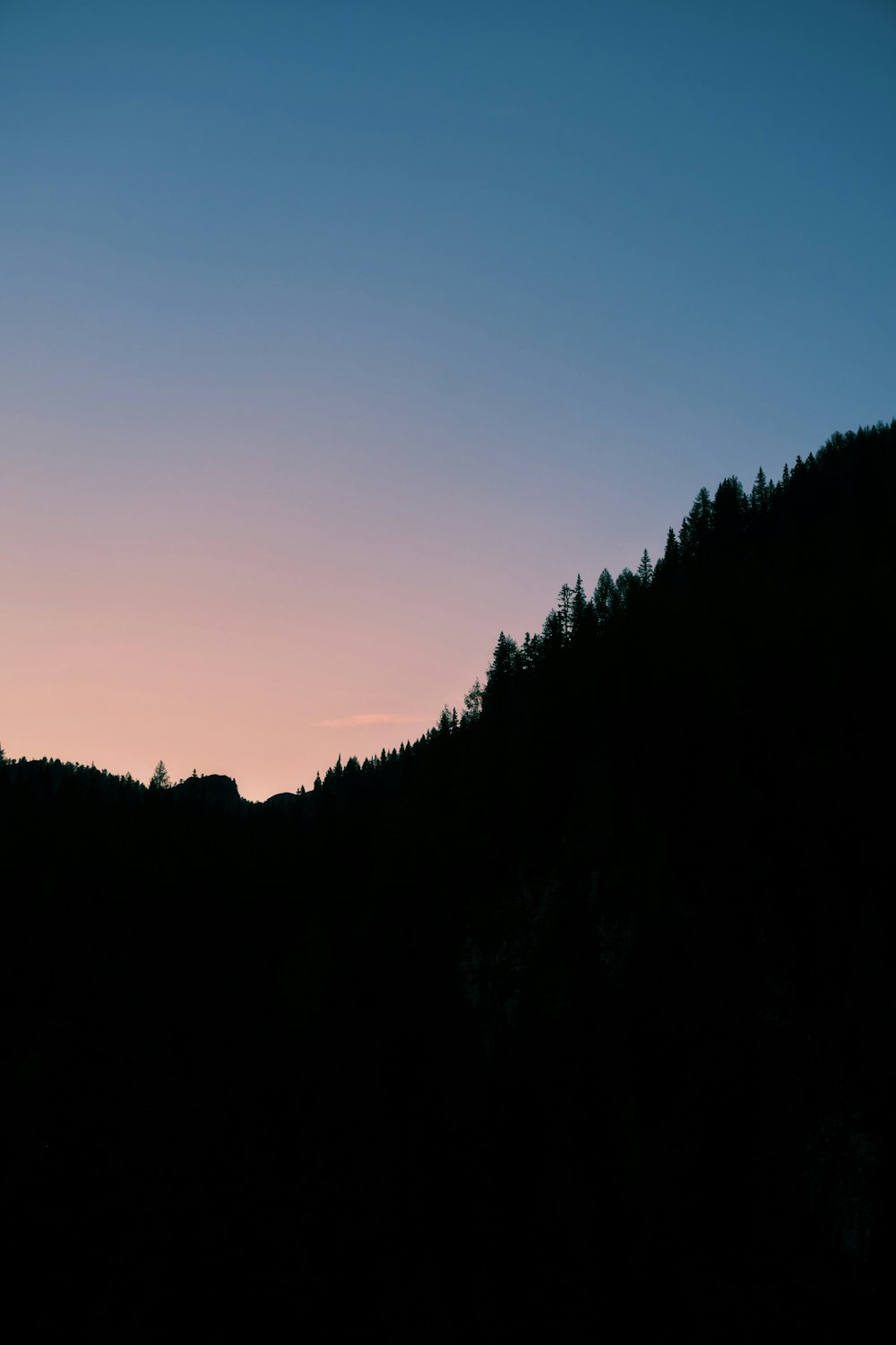 a silhouette of a hill with trees at sunset