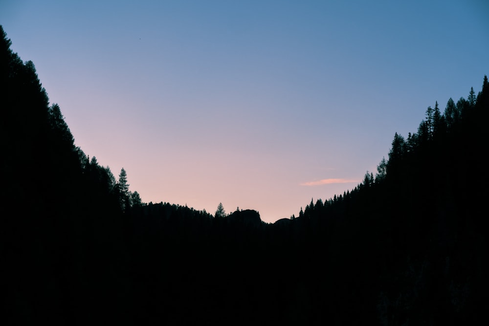 a silhouette of trees against a blue sky