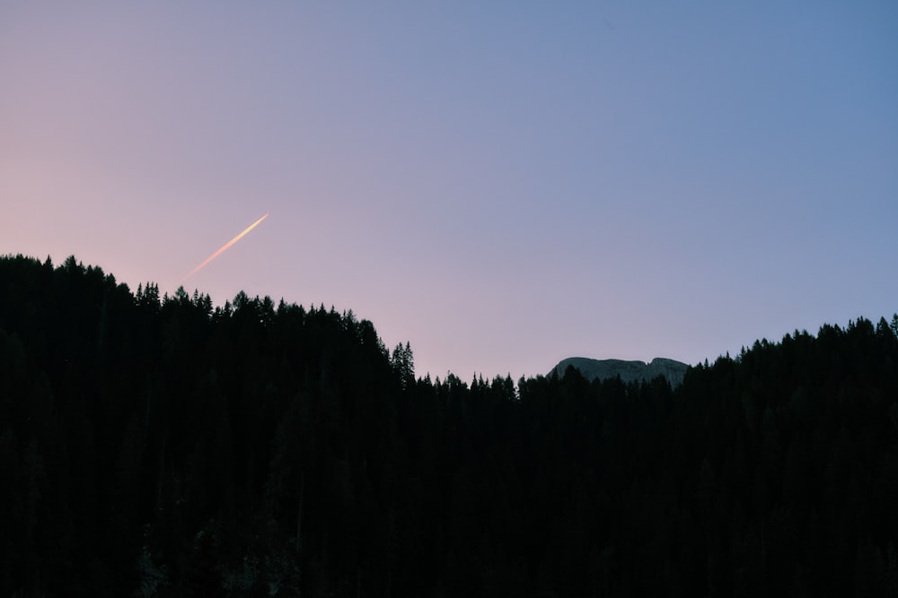 a plane flying in the sky over a forest