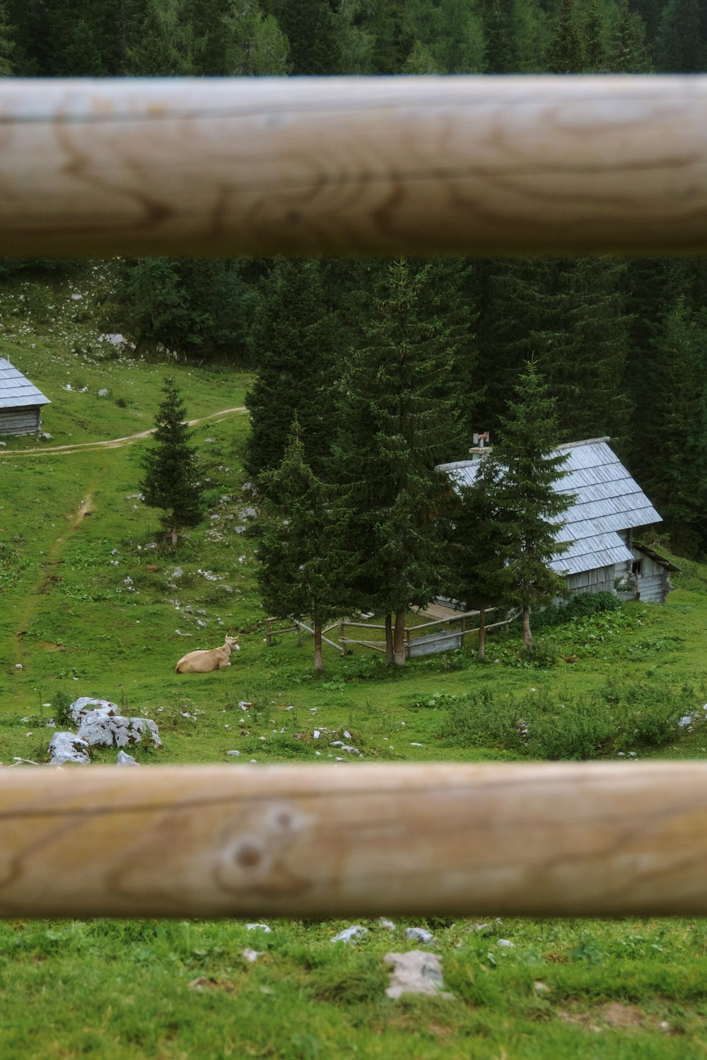 a view of a cabin in the middle of a forest