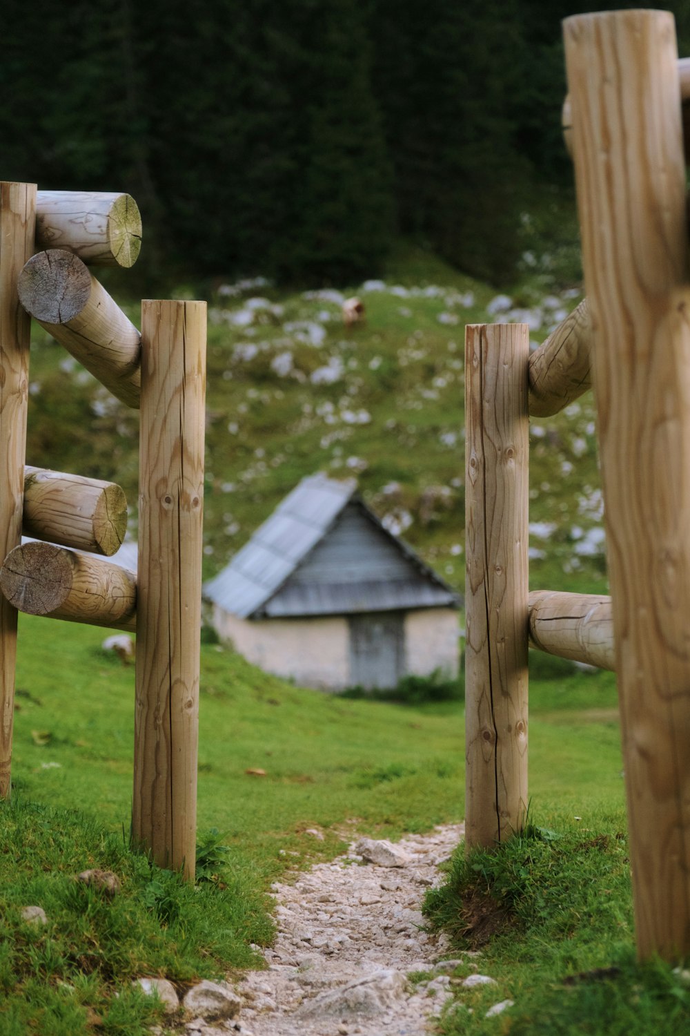 a couple of wooden poles that are in the grass