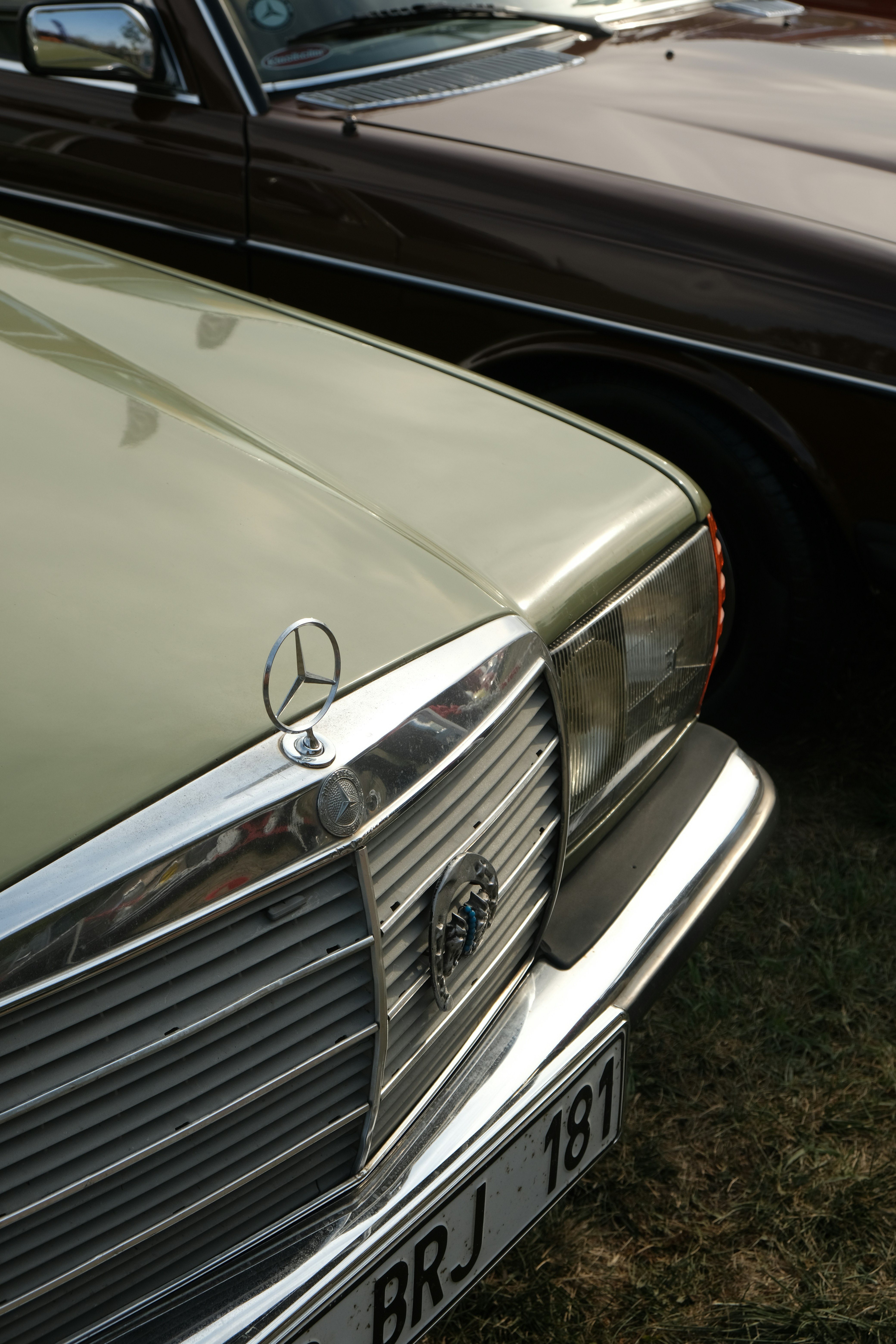 Photo by beyzaayurtkuran