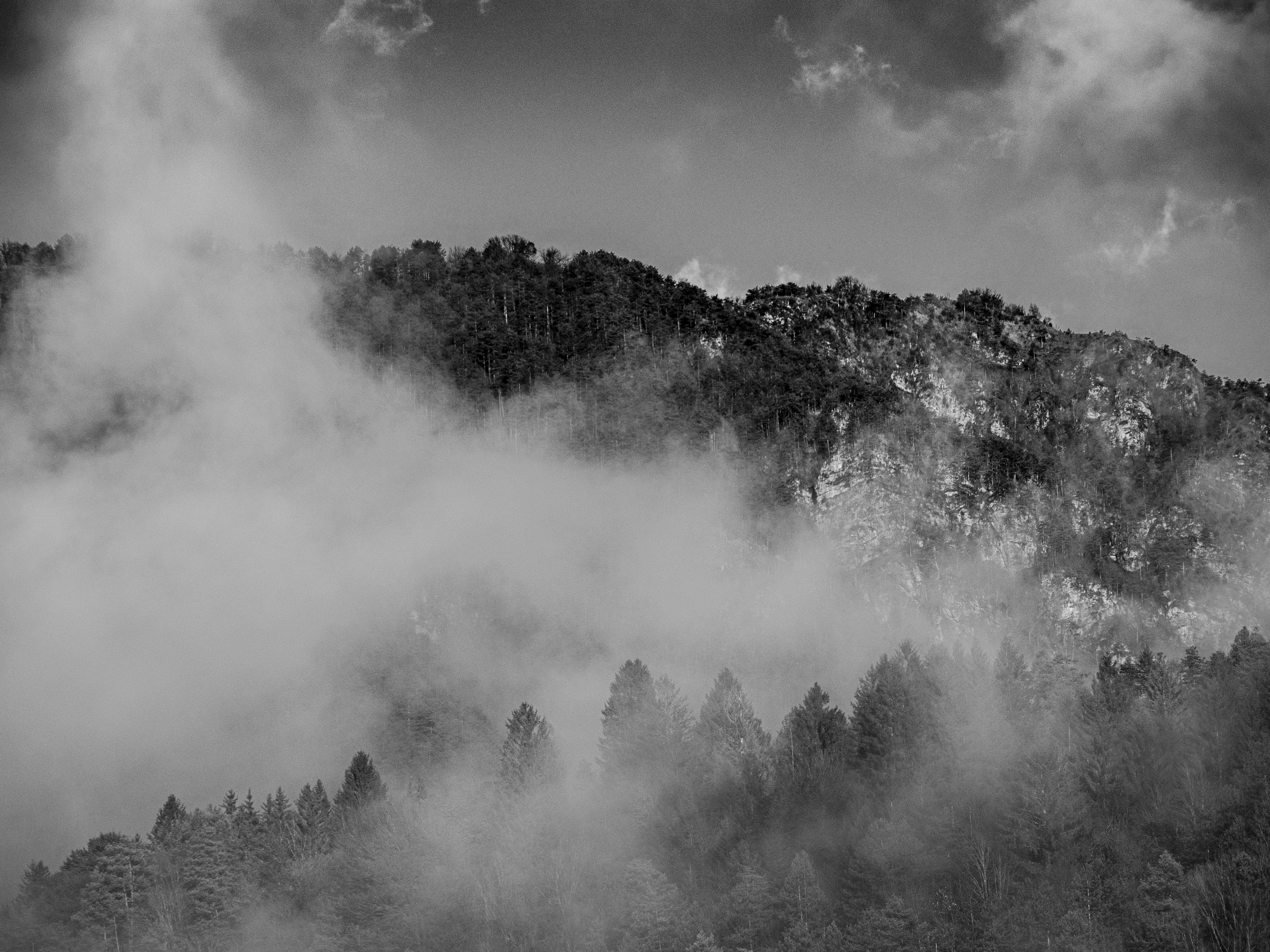 Photo by gopitri_prem