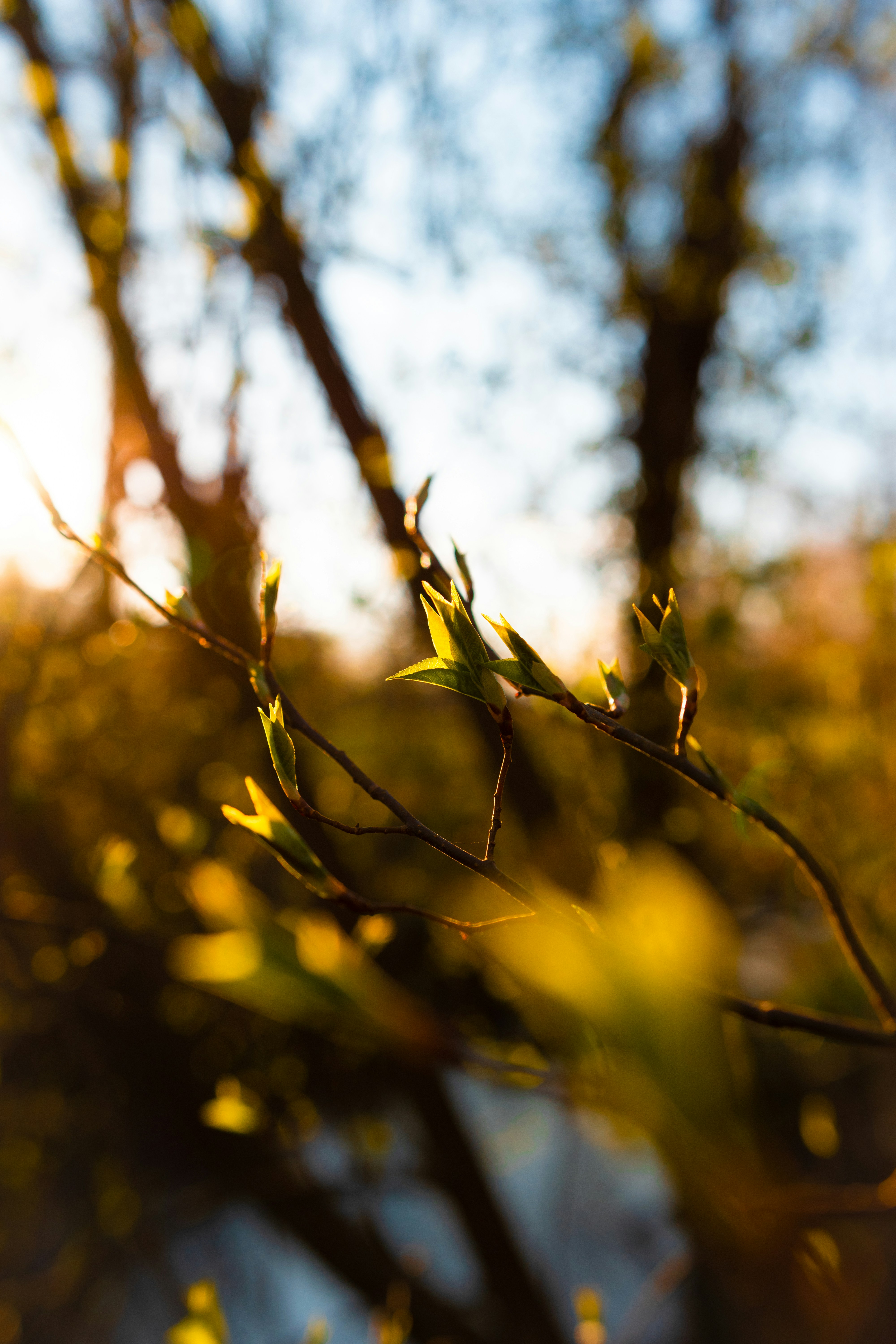 Photo by jonah_loeffler