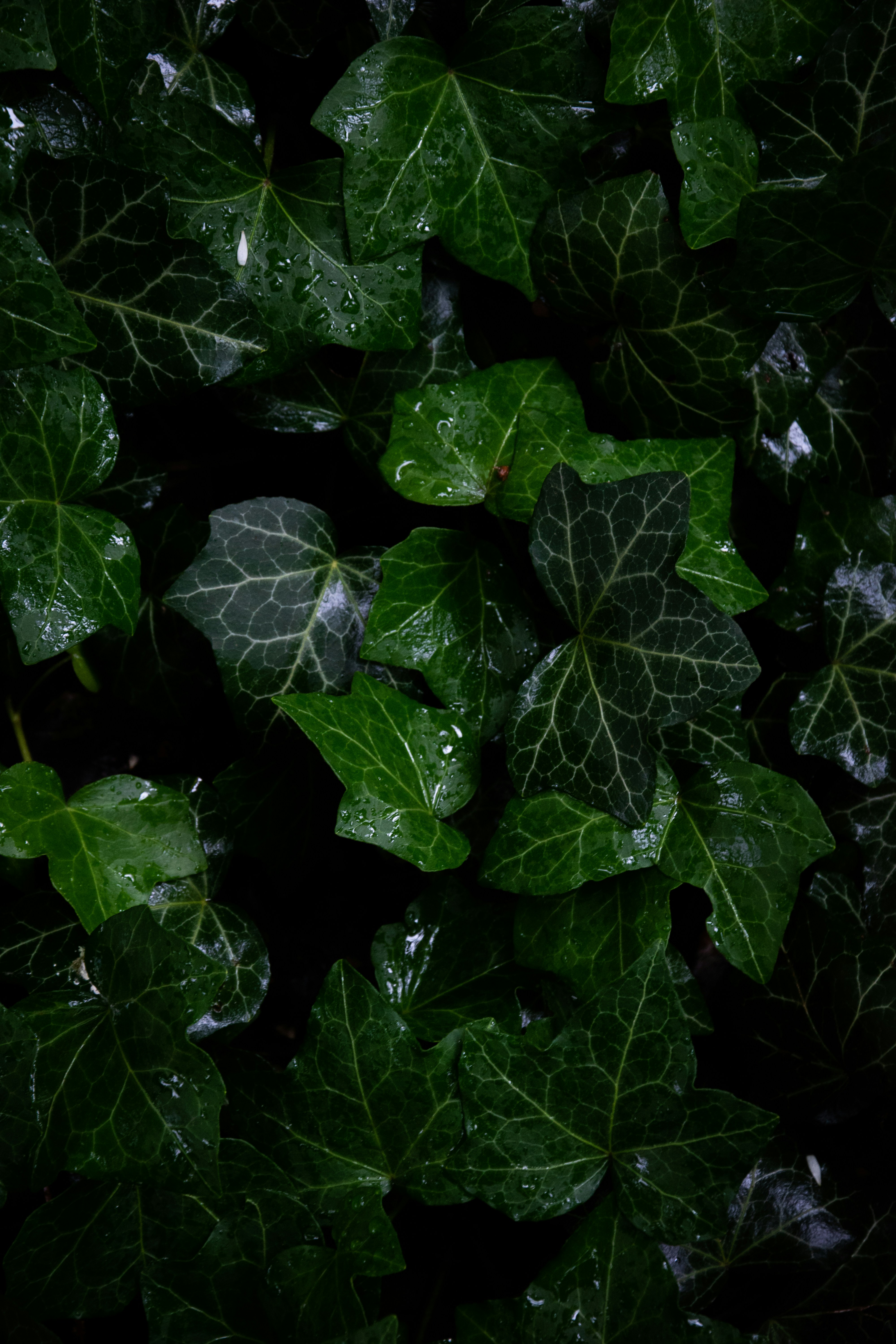 Photo by jonah_loeffler