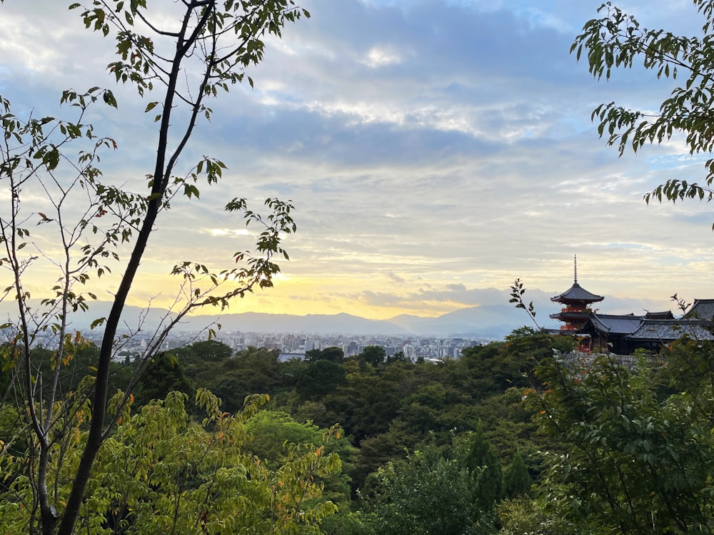 a view of a city from a distance