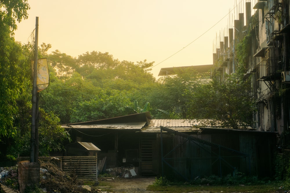 an old run down building in the middle of a forest