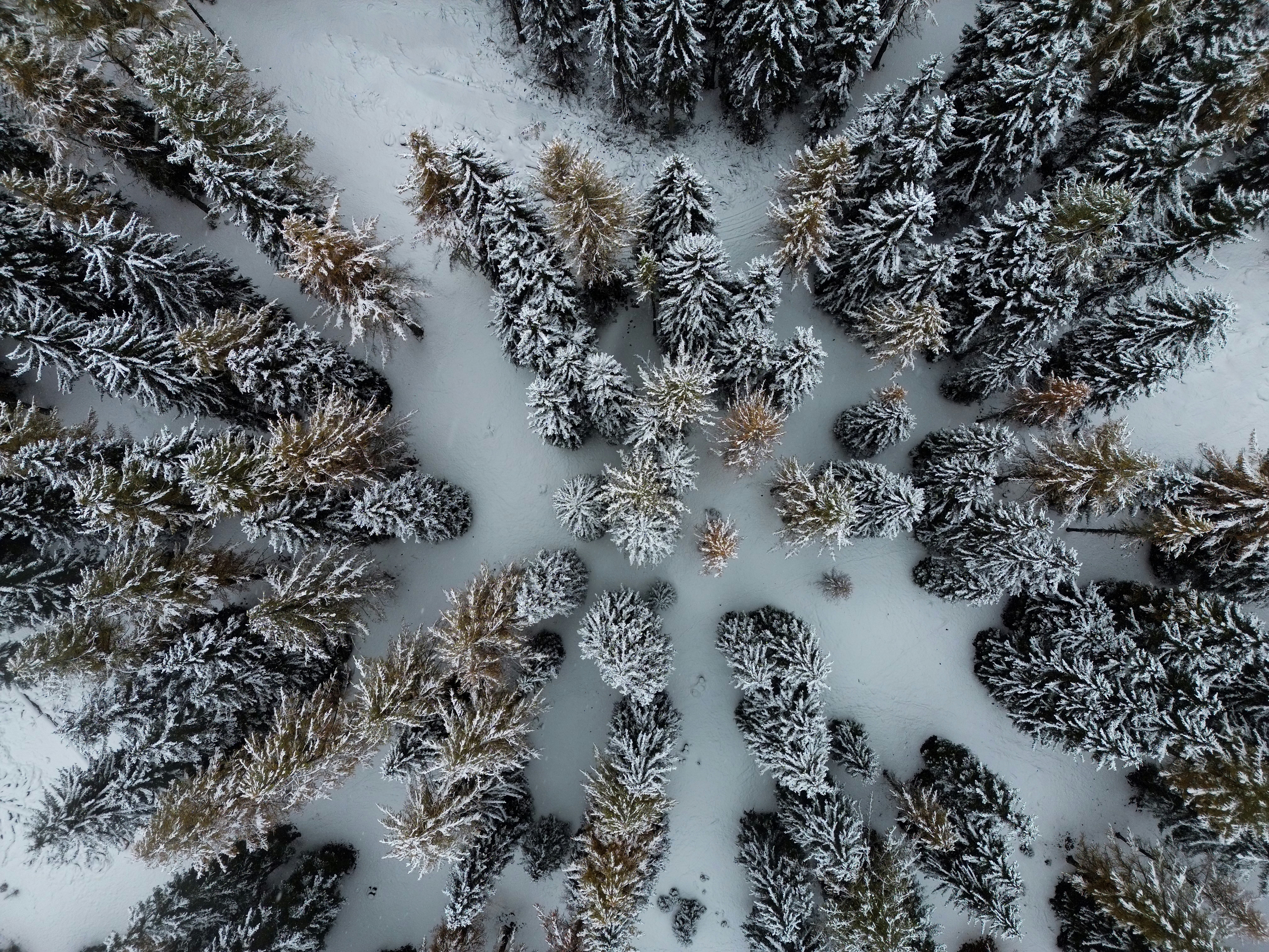 Photo by phillipweil2000