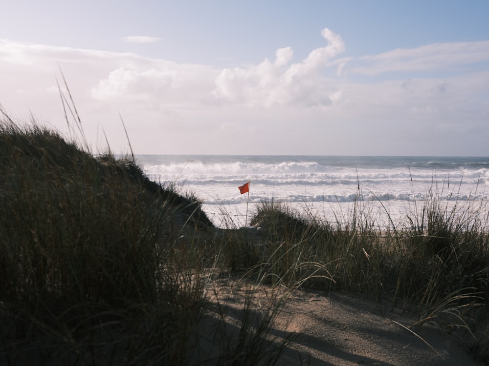 a view of a beach with waves crashing in the background