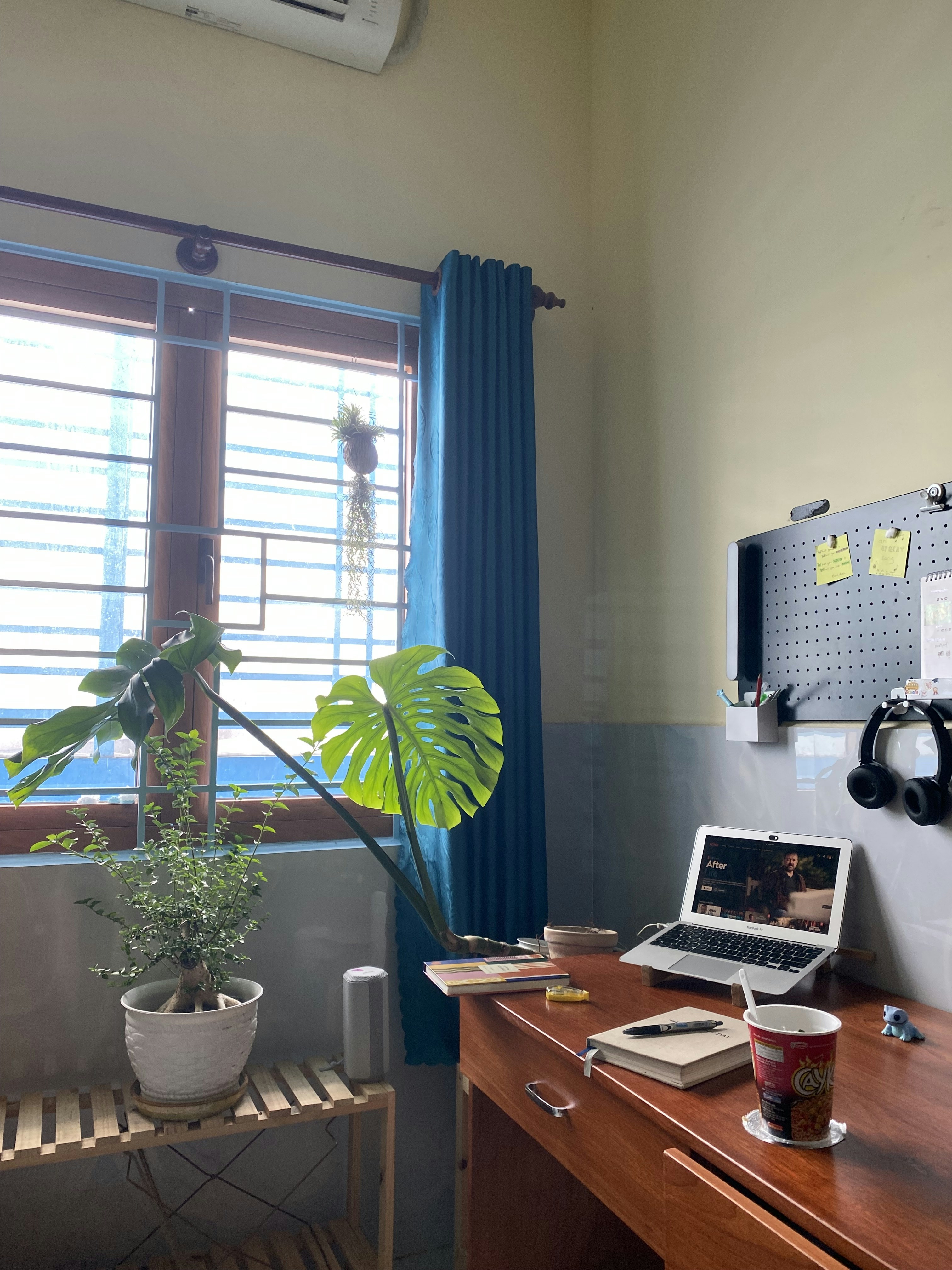 Book Your Design Session