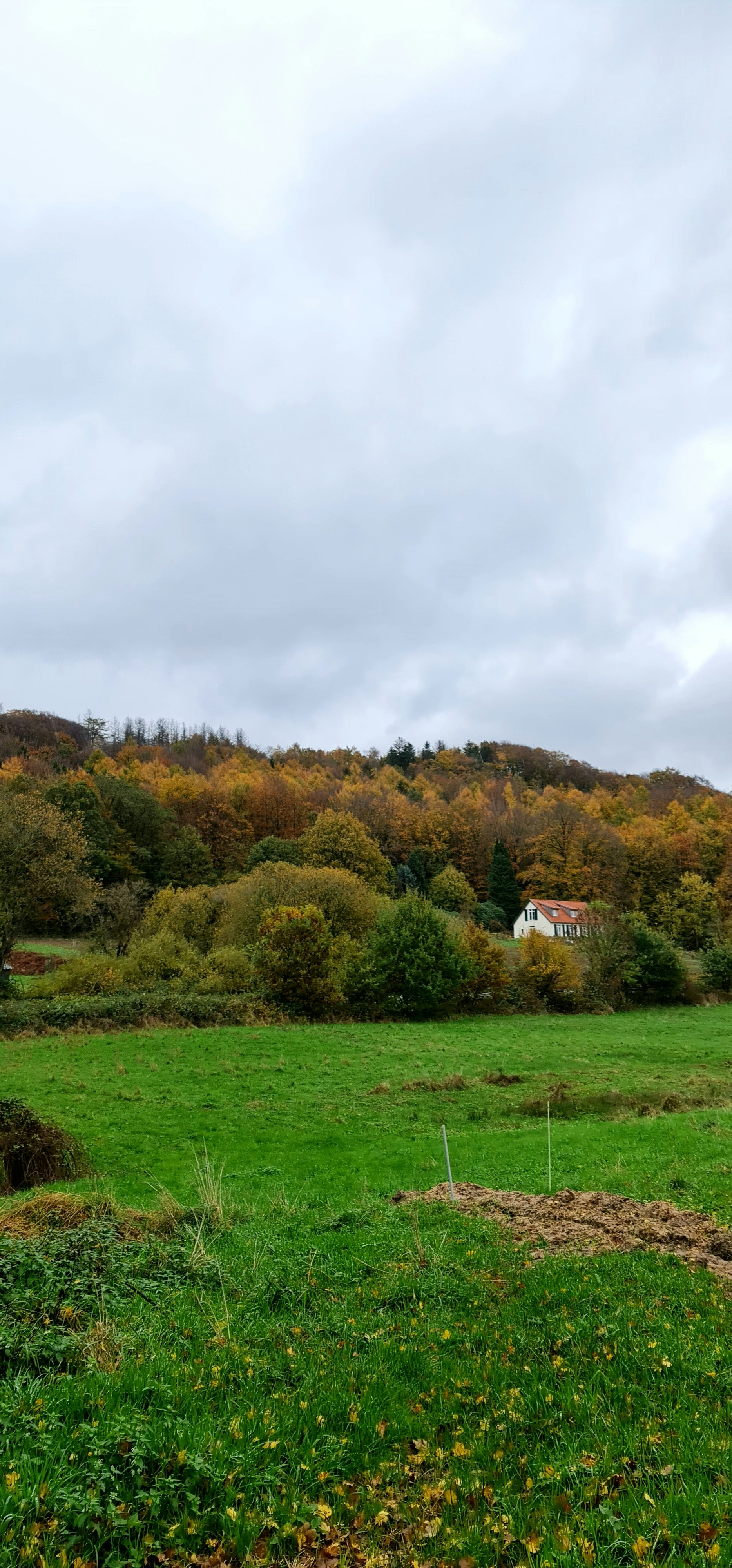 Photo by minuahmadian