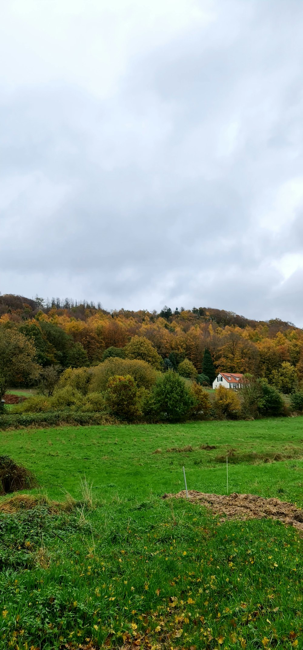 a green field with a house in the distance