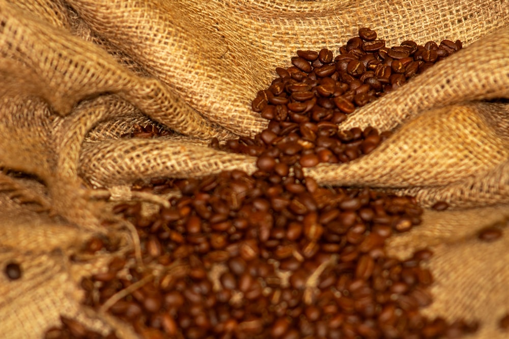 a pile of coffee beans sitting on top of a bag