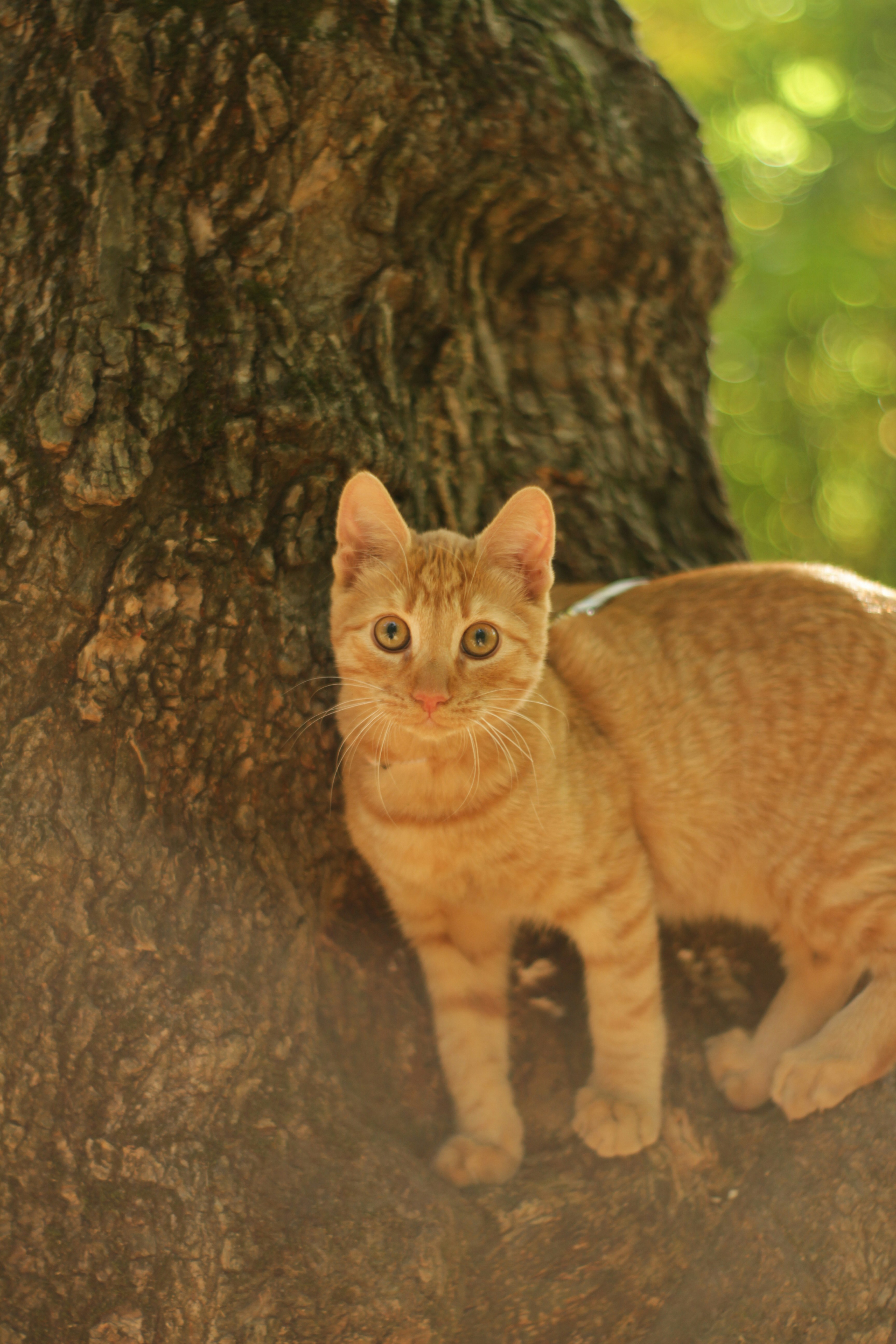 Photo by filip_lazar