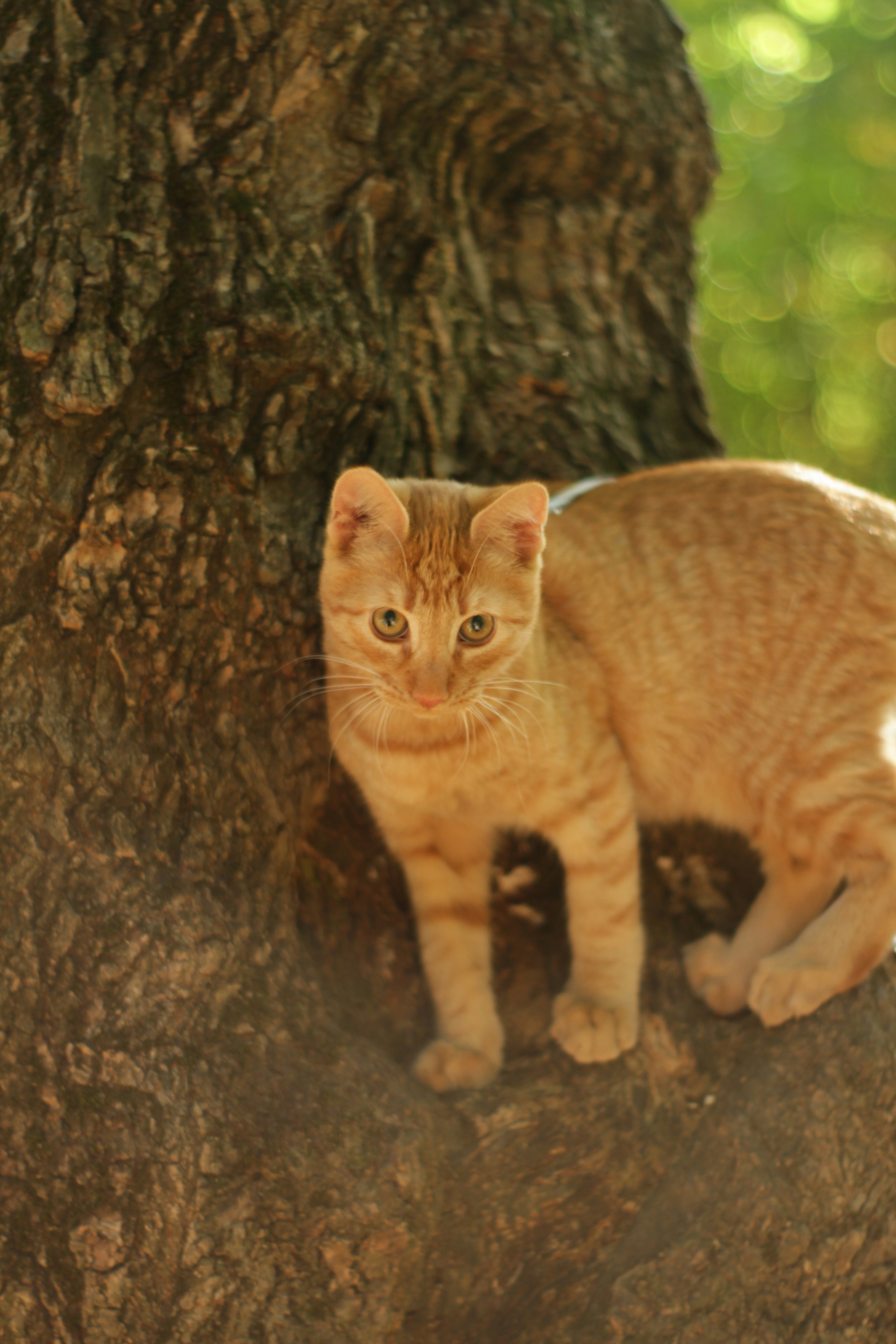 Photo by filip_lazar