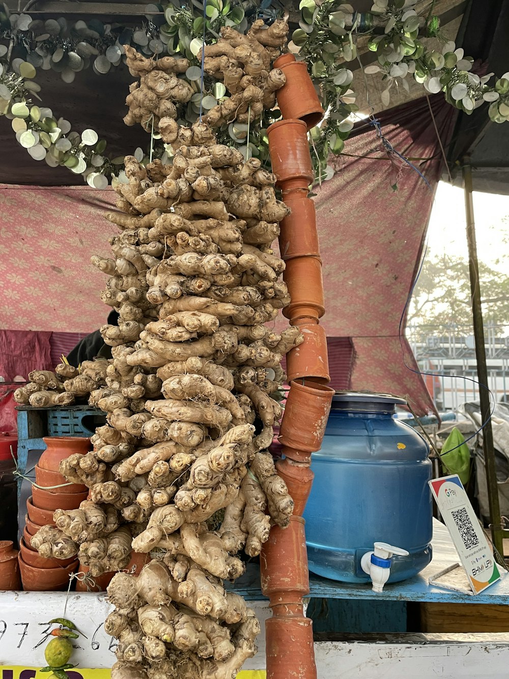 a bunch of ginger hanging from a pole