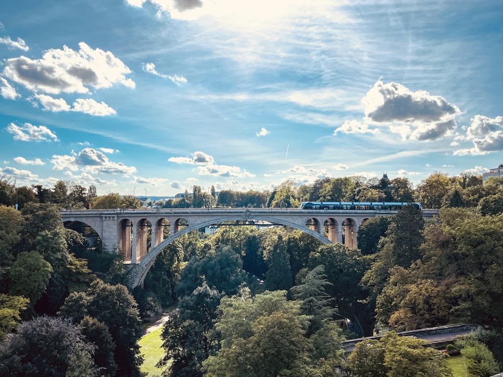 a train crossing a bridge over a lush green forest