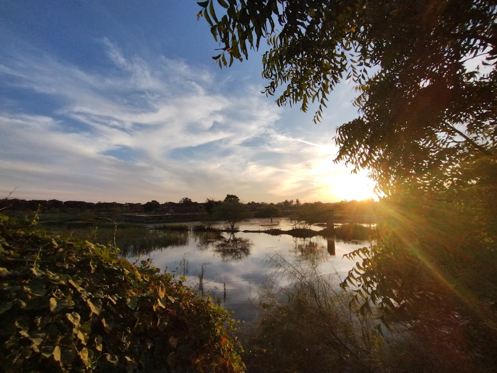 a body of water surrounded by trees and bushes