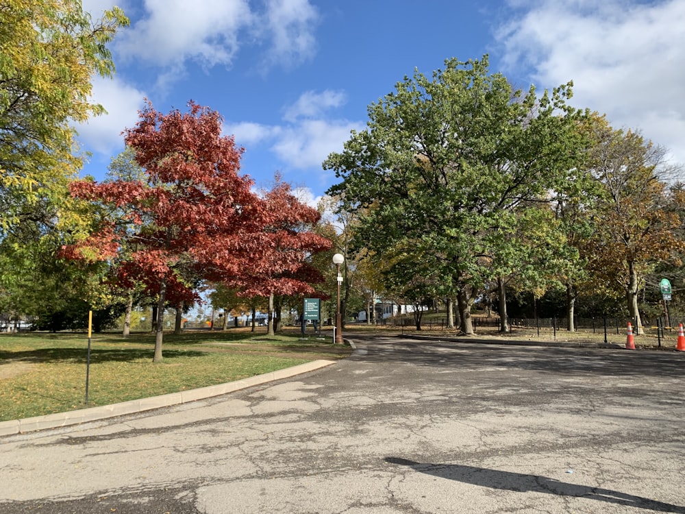 a street with trees and a fire hydrant