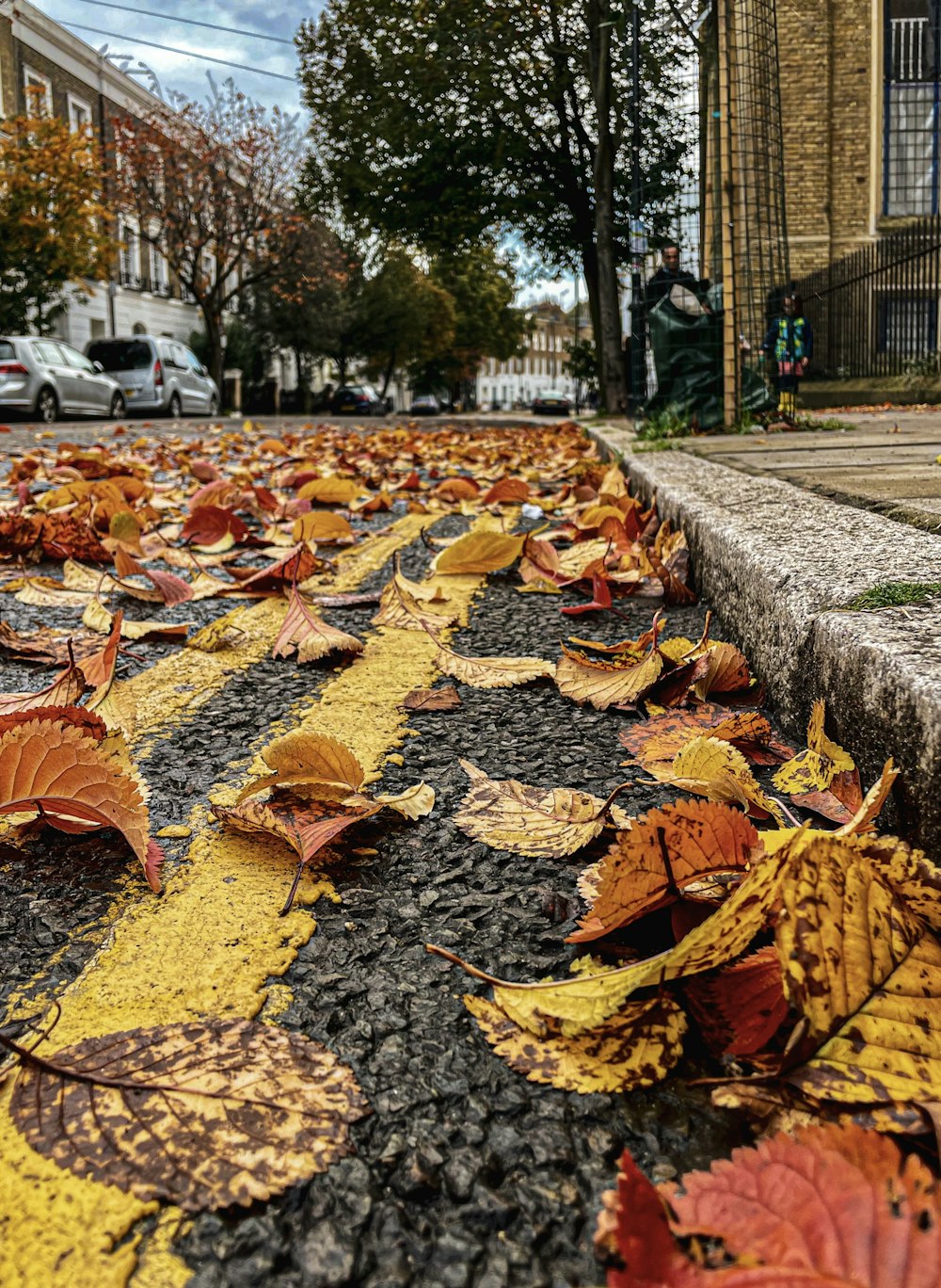 um monte de folhas que estão deitadas no chão