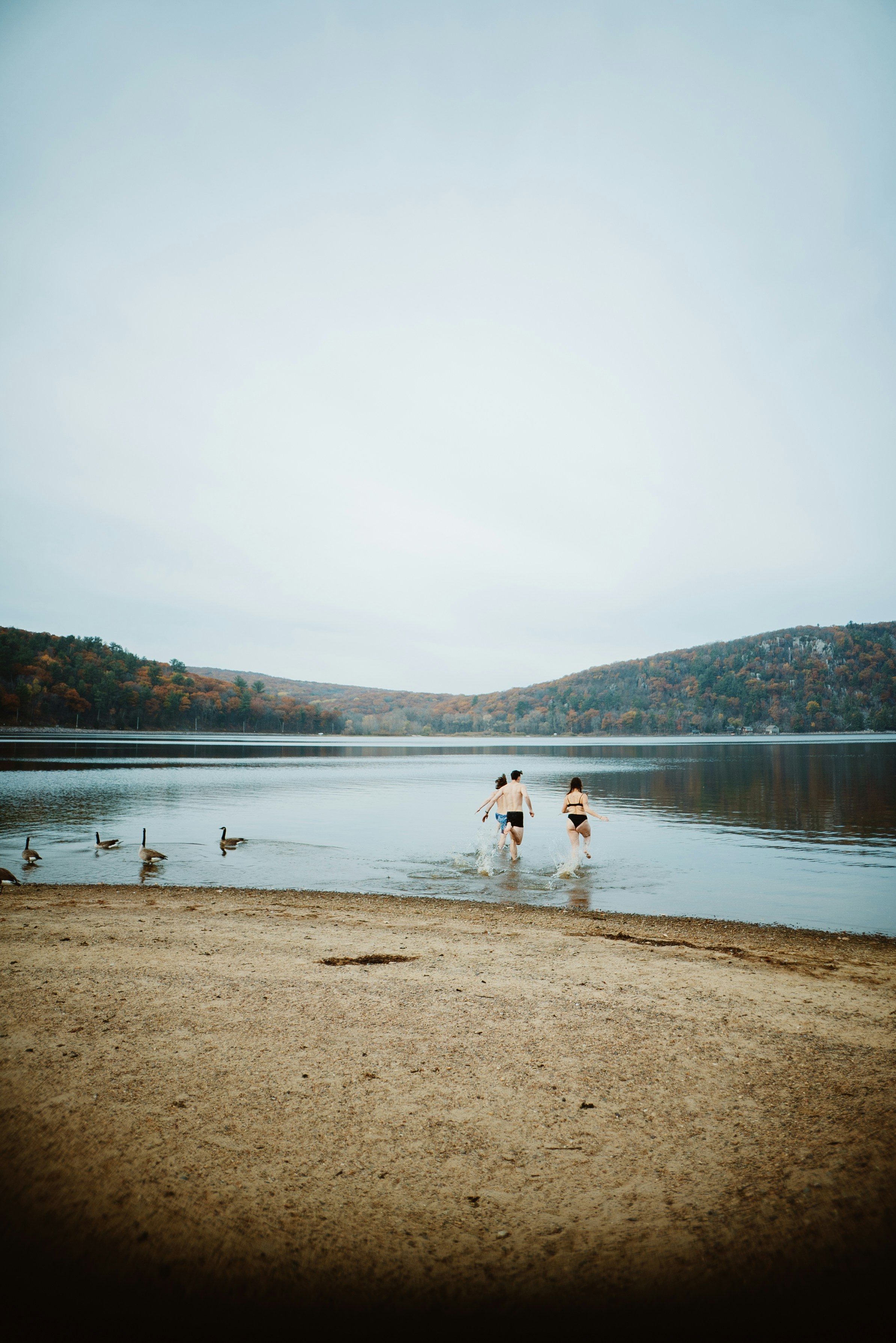 two people are wading in the water with ducks