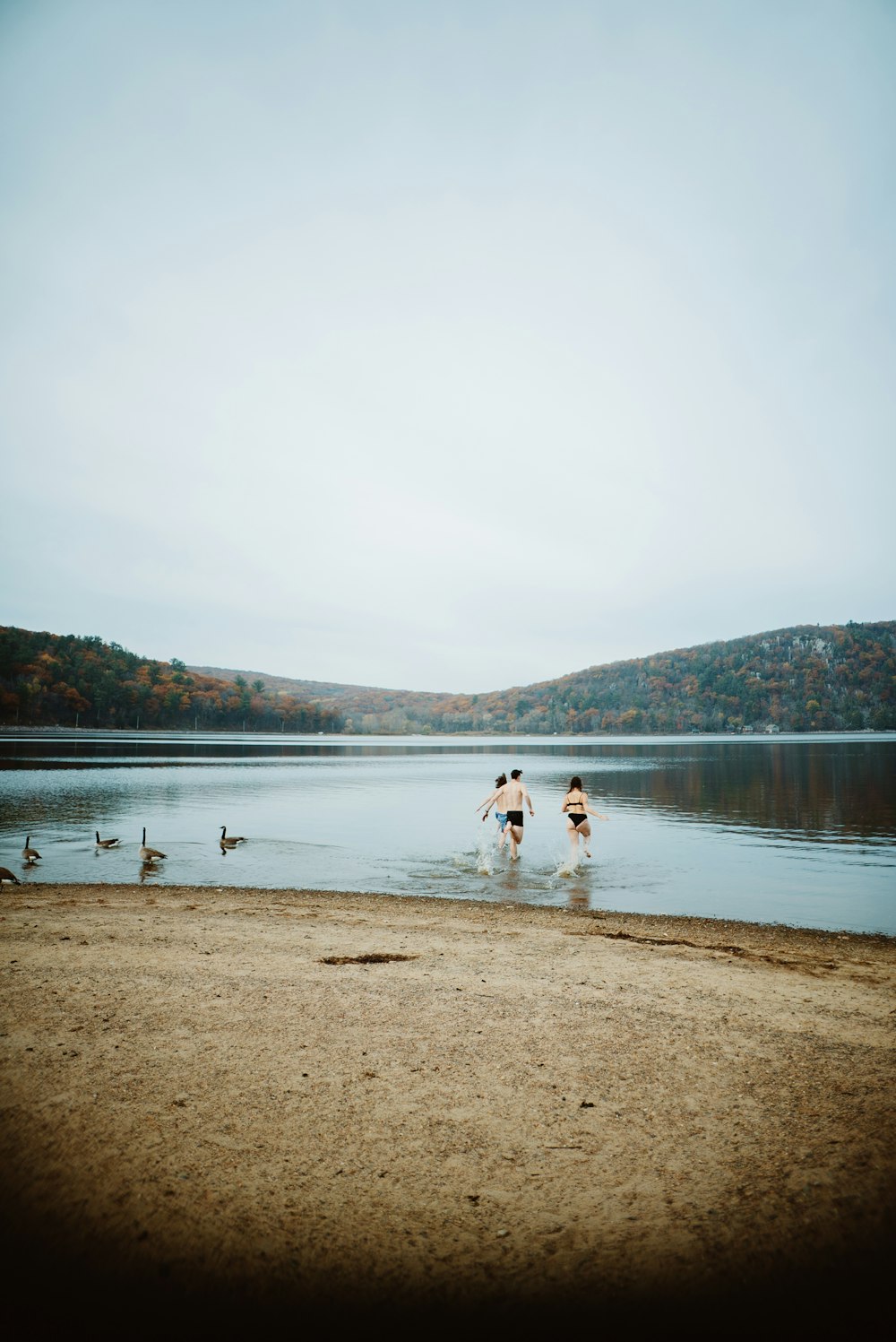 Dos personas se meten en el agua con patos