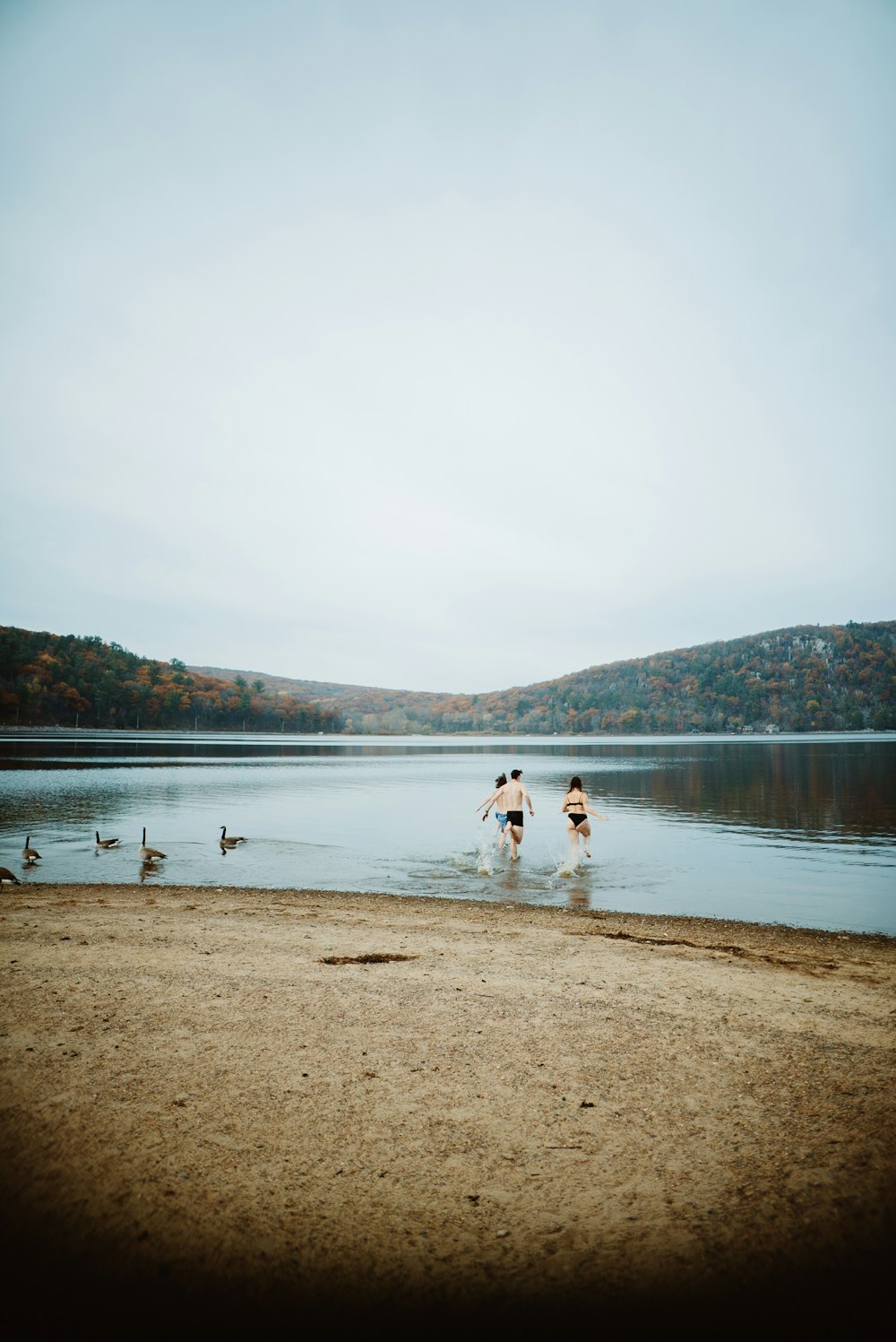 two people are wading in the water with ducks