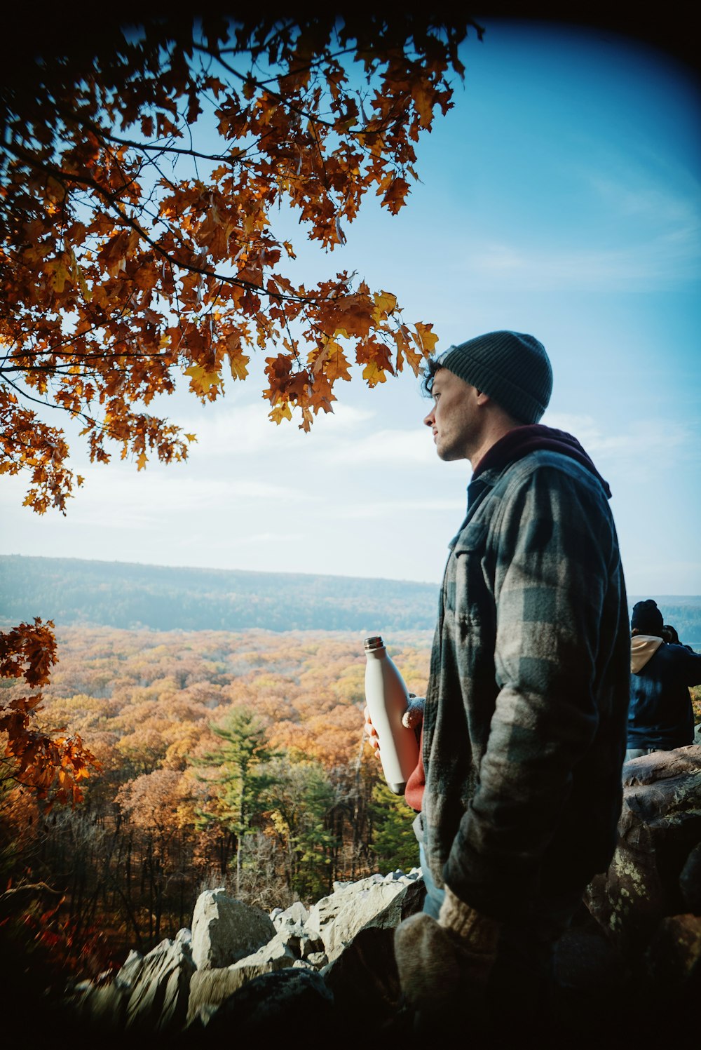 a man standing on top of a rock next to a tree