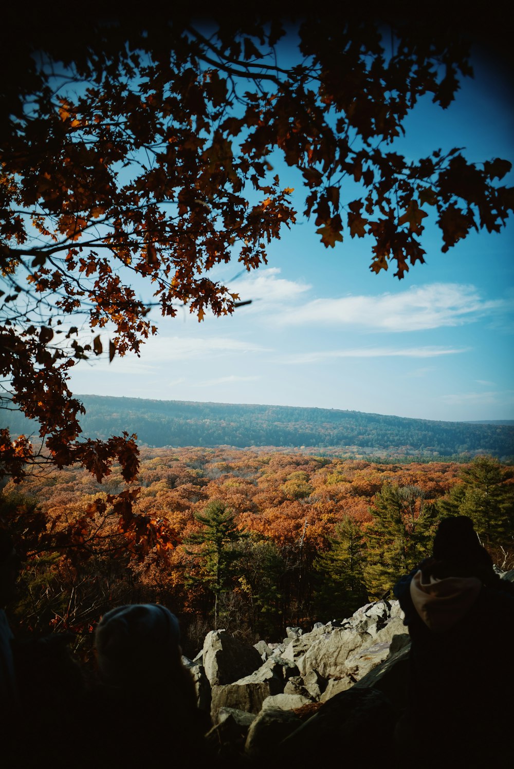 a couple of people sitting on top of a hill