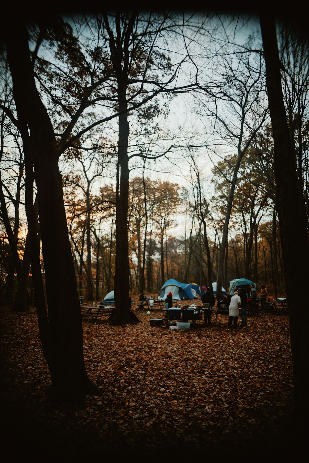 a group of people standing around a tent in the woods