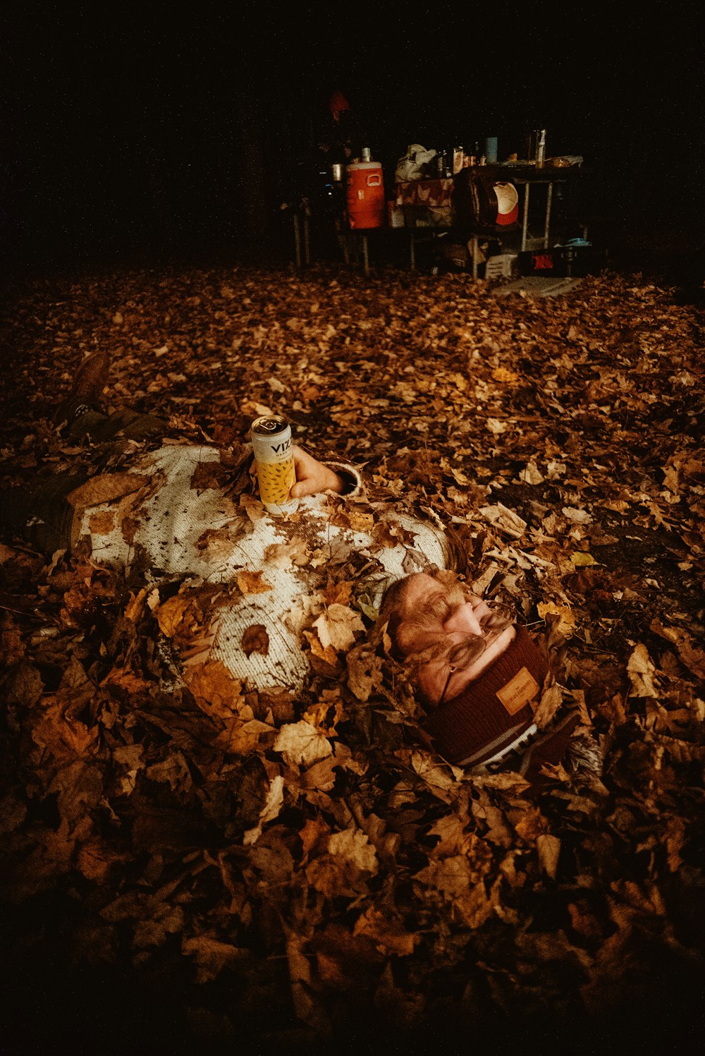 a pair of shoes laying on top of a pile of leaves