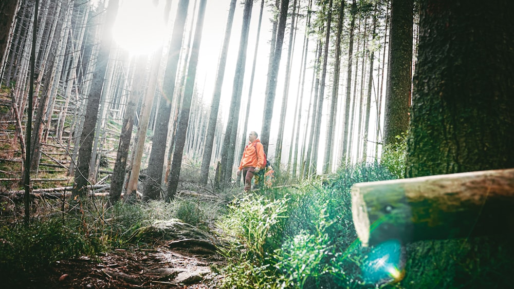 a person standing on a trail in the woods