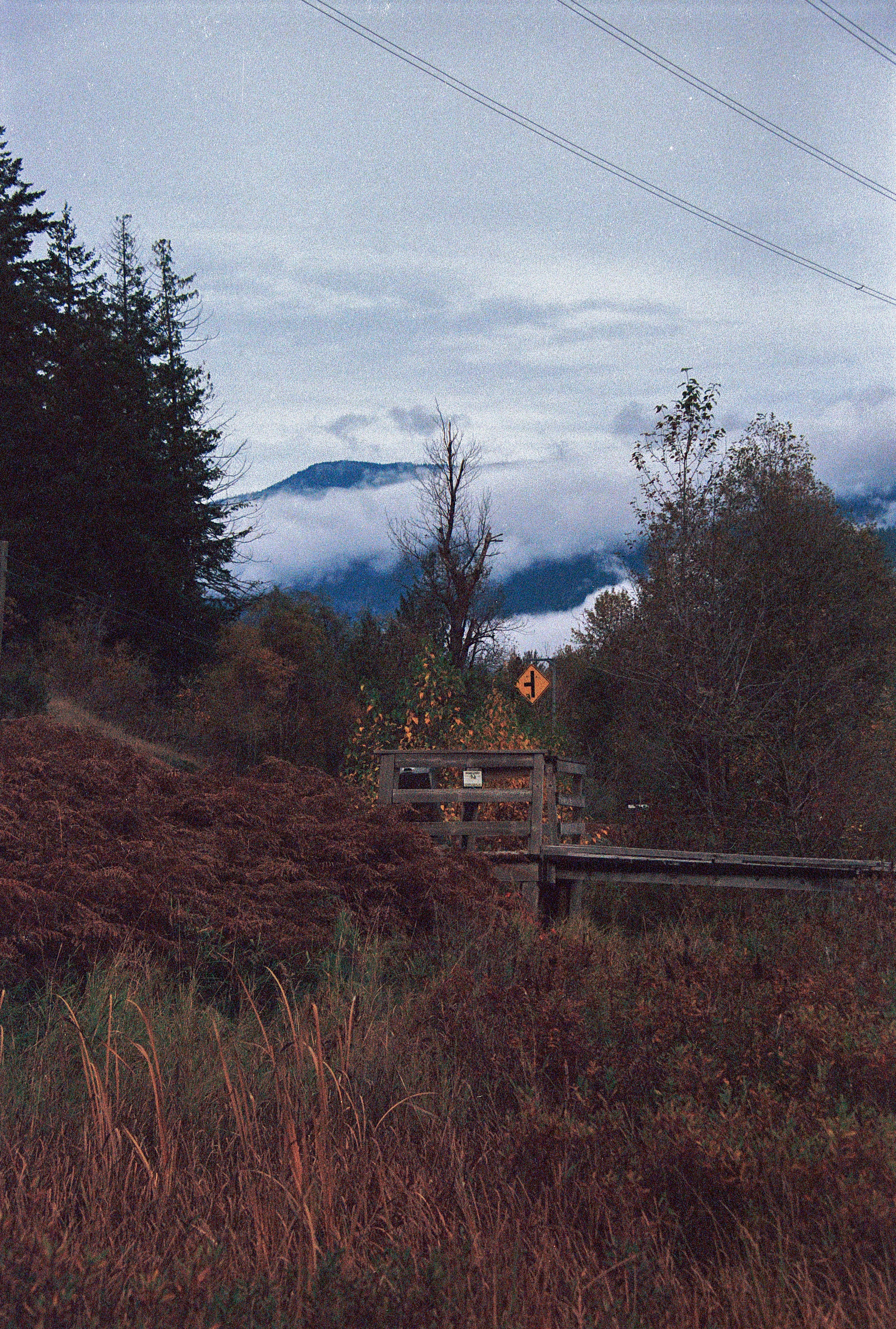 a wooden bridge over a lush green hillside