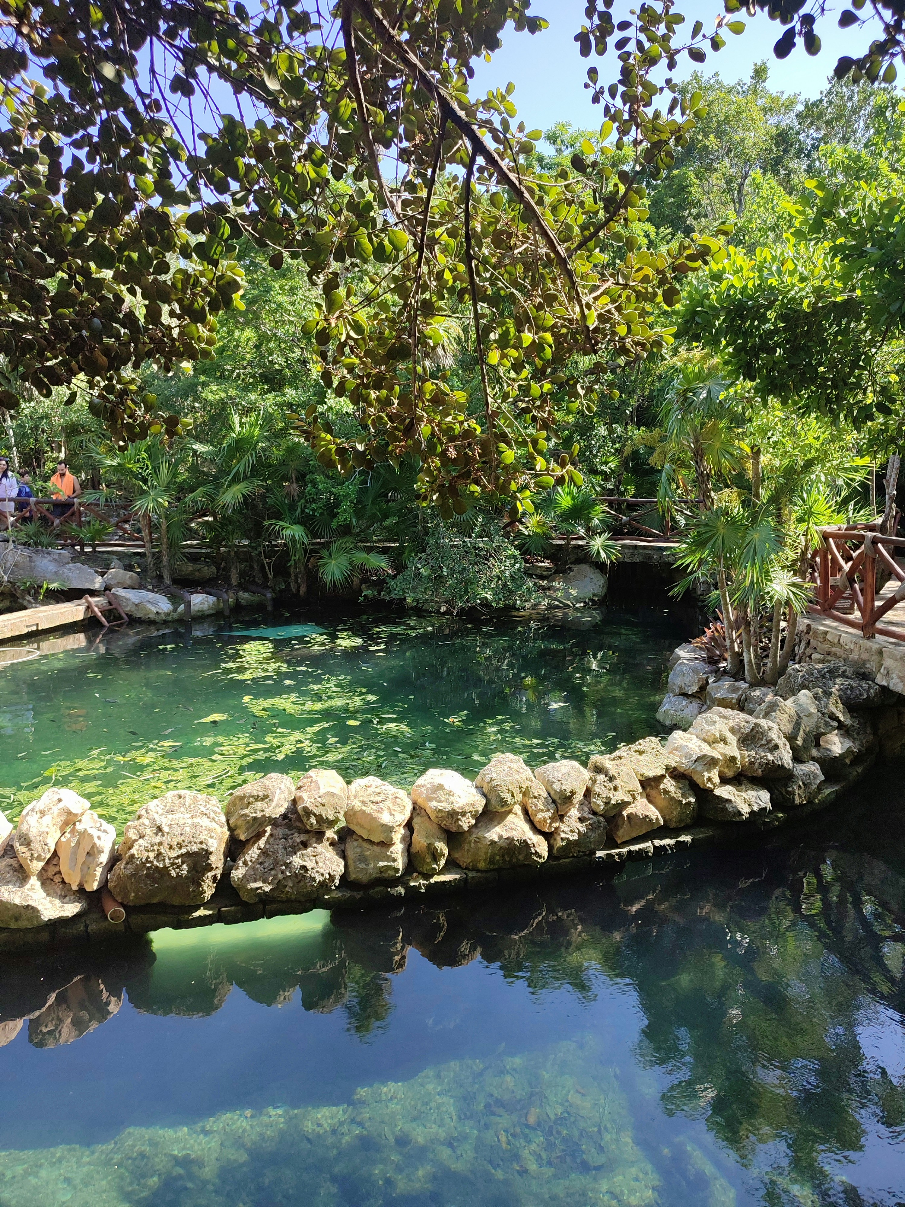 20 by 12 ft relaxation pool surrounded by greenery, calm water, peaceful outdoor setting