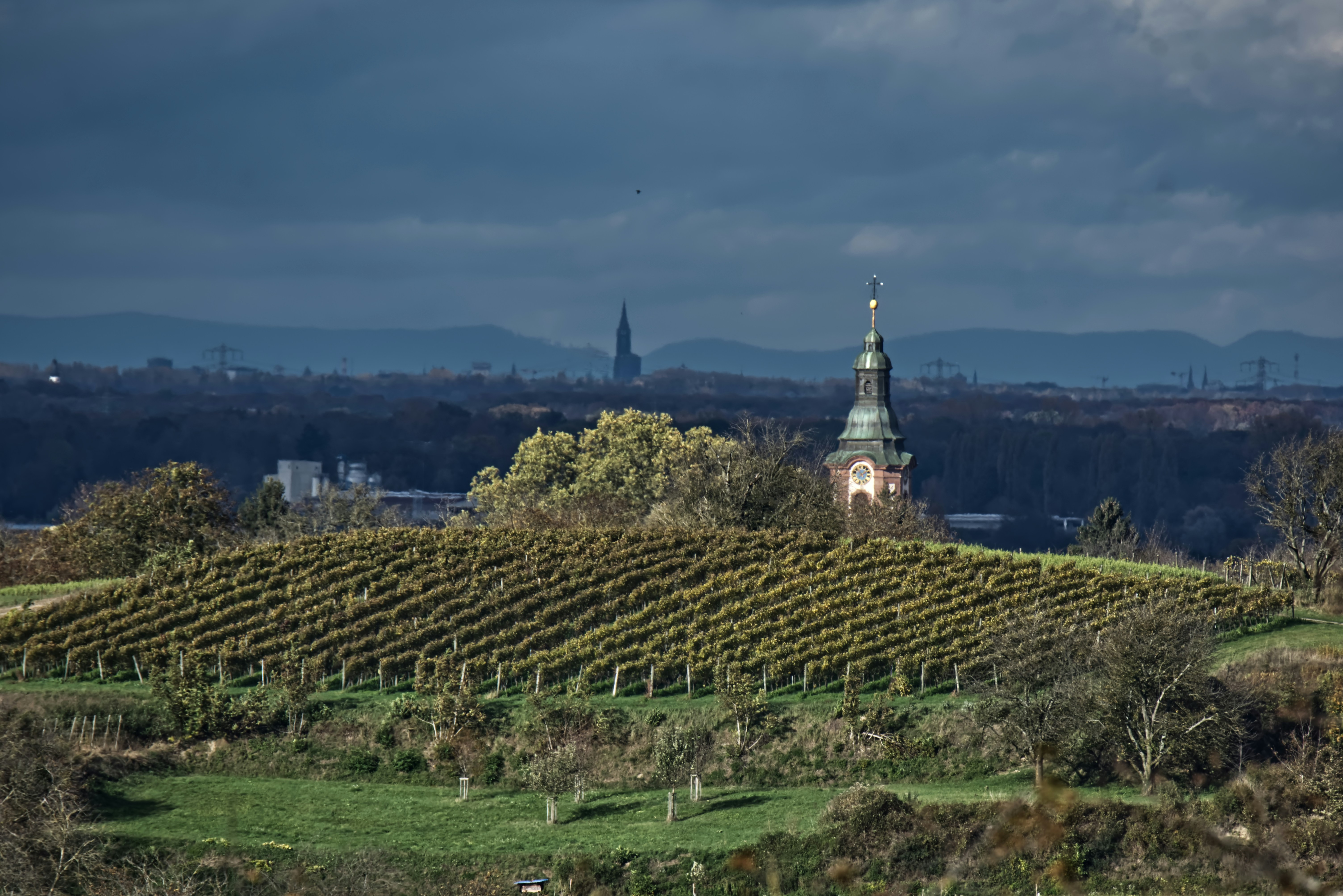 Une église au sommet d’une colline entourée d’arbres