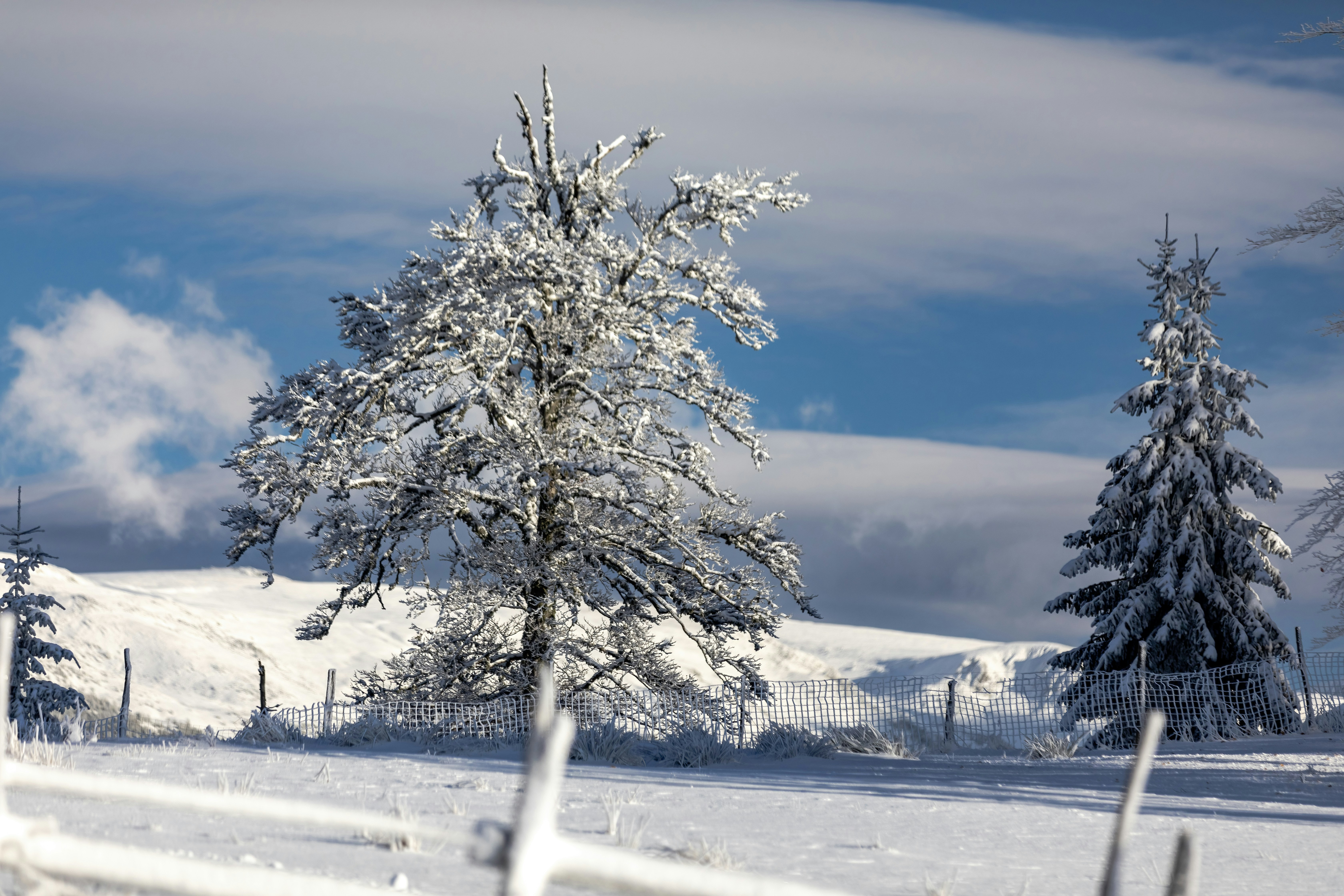 Photo by ovidiugruescu